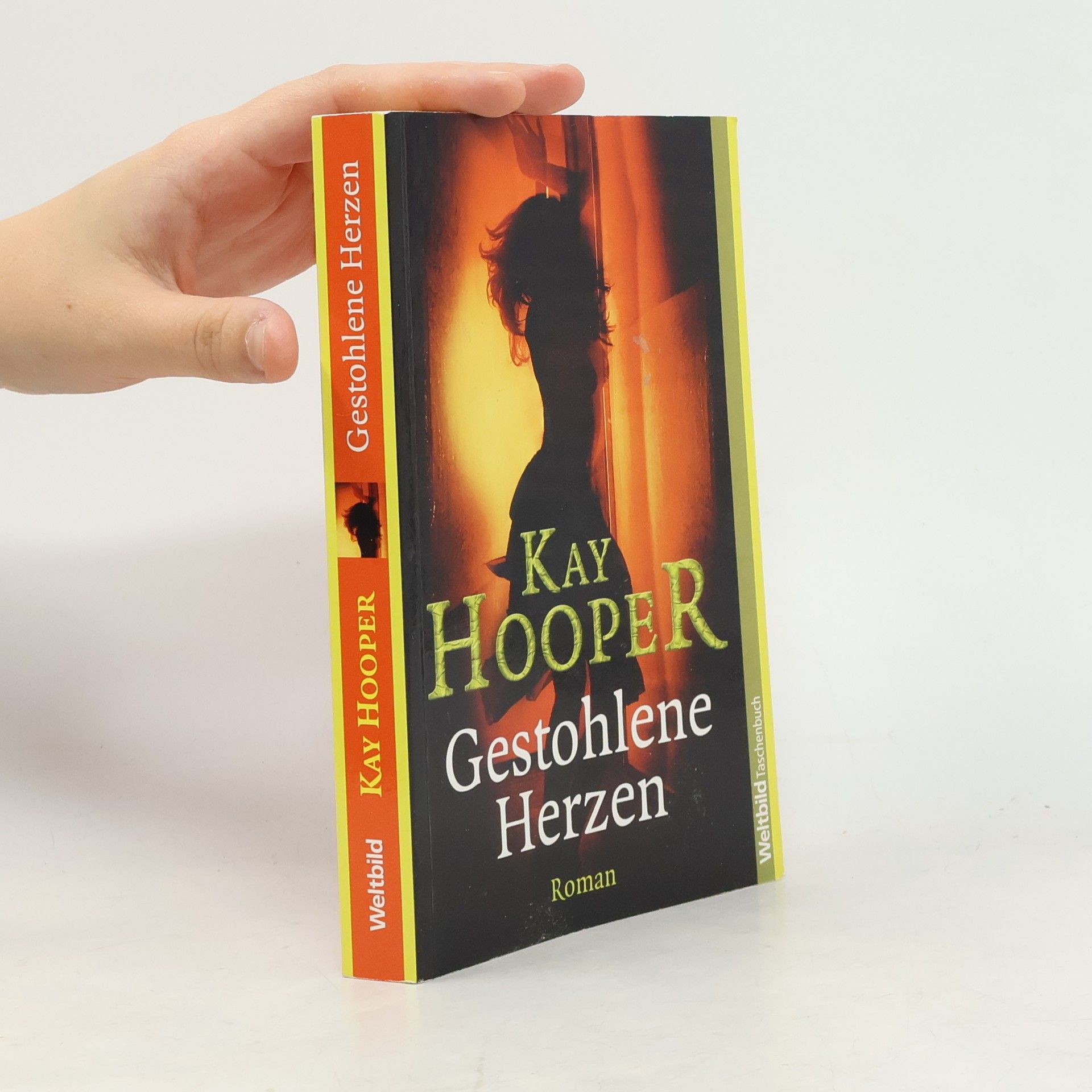 Kay Hooper Gestohlene Herzen