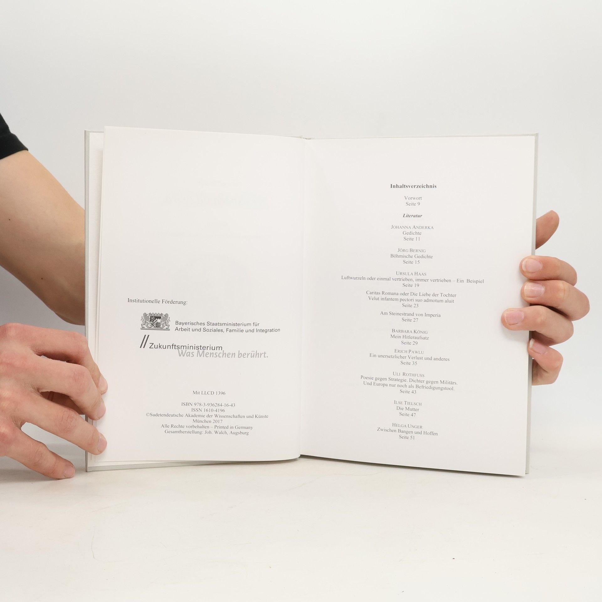 Kolektív autorov Schriften der Sudetendeutschen Akademie der Wissenschaften und Künste 36