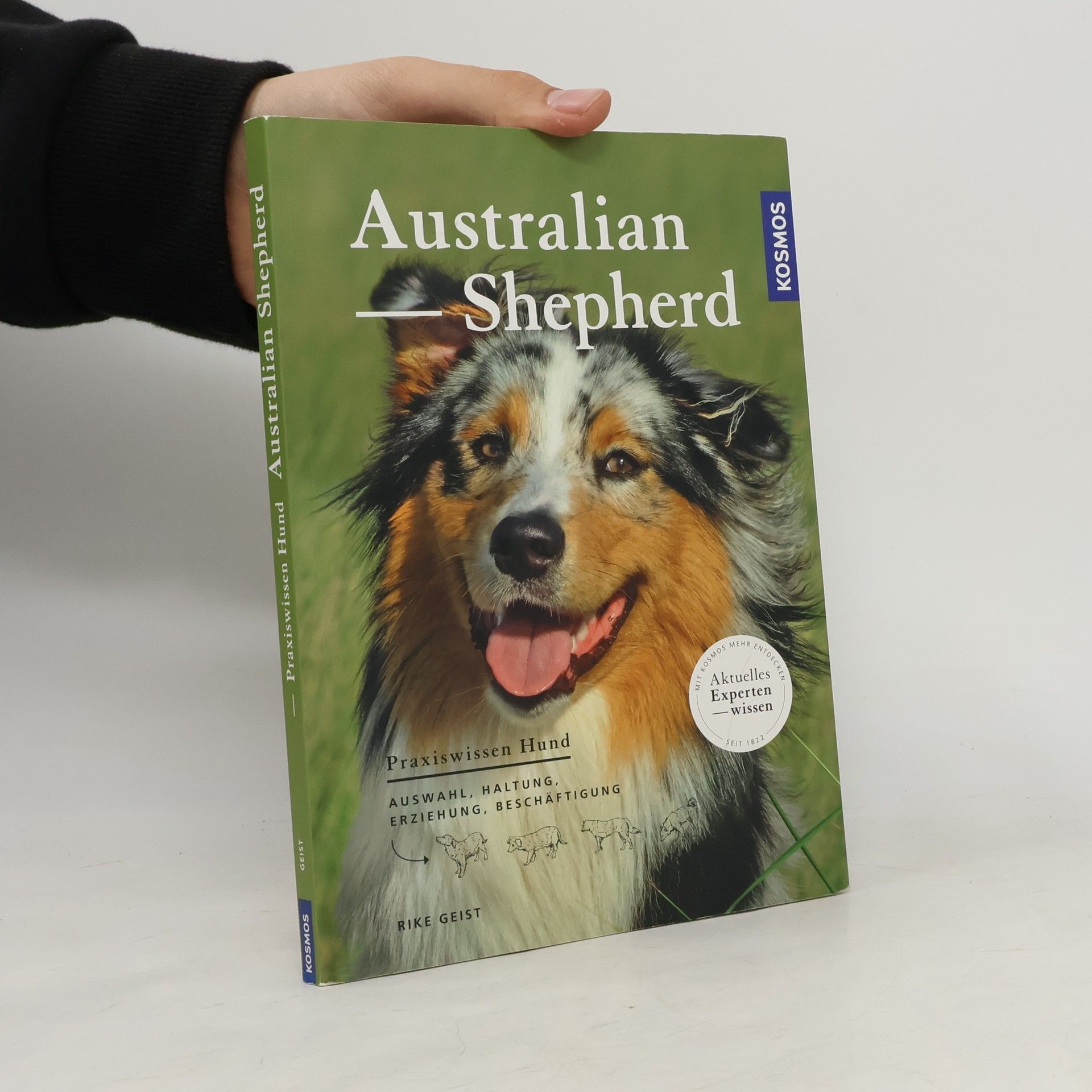 Rike Geist Australian Shepherd