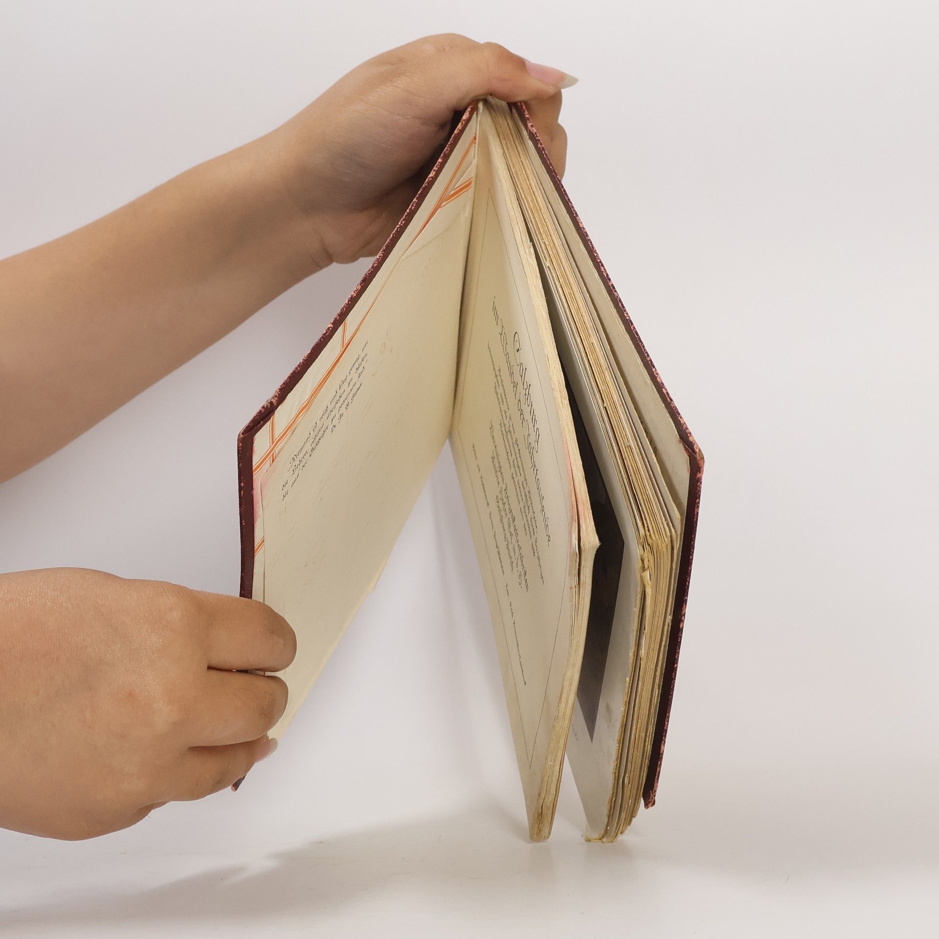 Autores varios Salzburg im Wandel der Jahrtausende