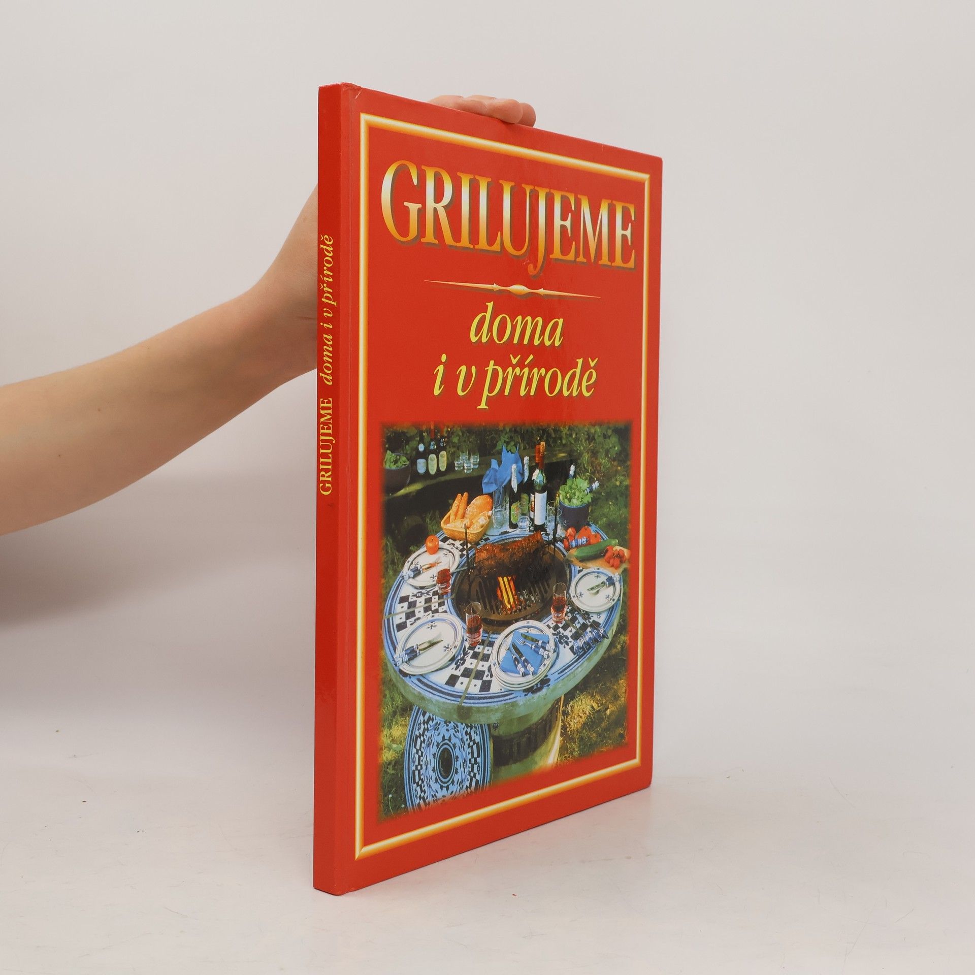 Kolektiv autorů Grilujeme doma i v přírodě