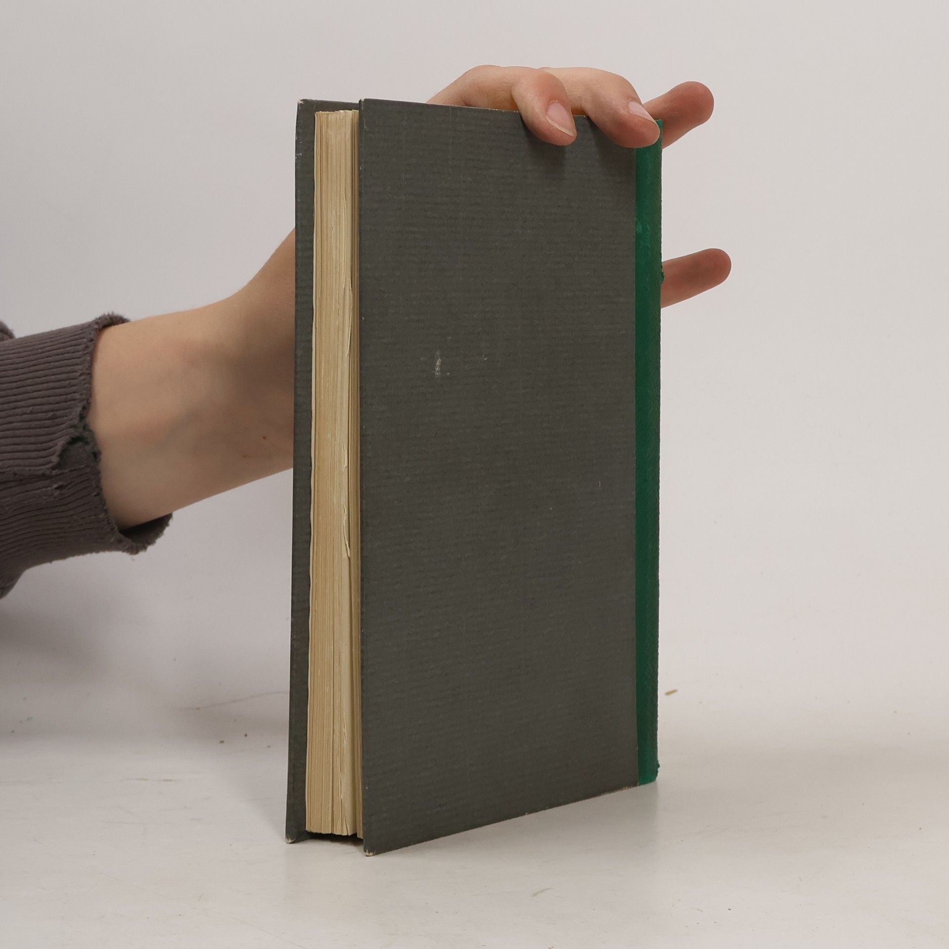 Guy de Maupassant Die kleine Roque