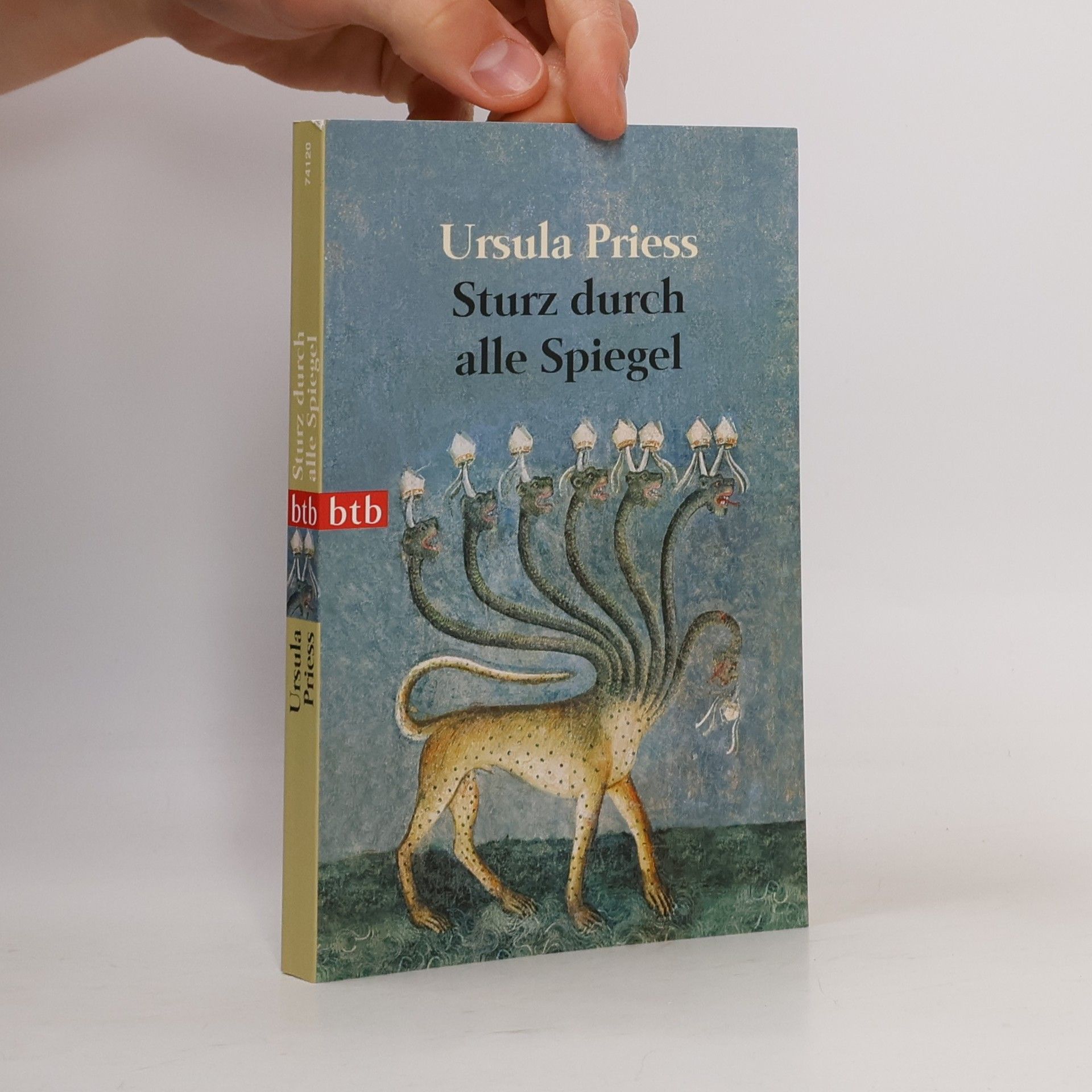 Ursula Priess Sturz durch alle Spiegel