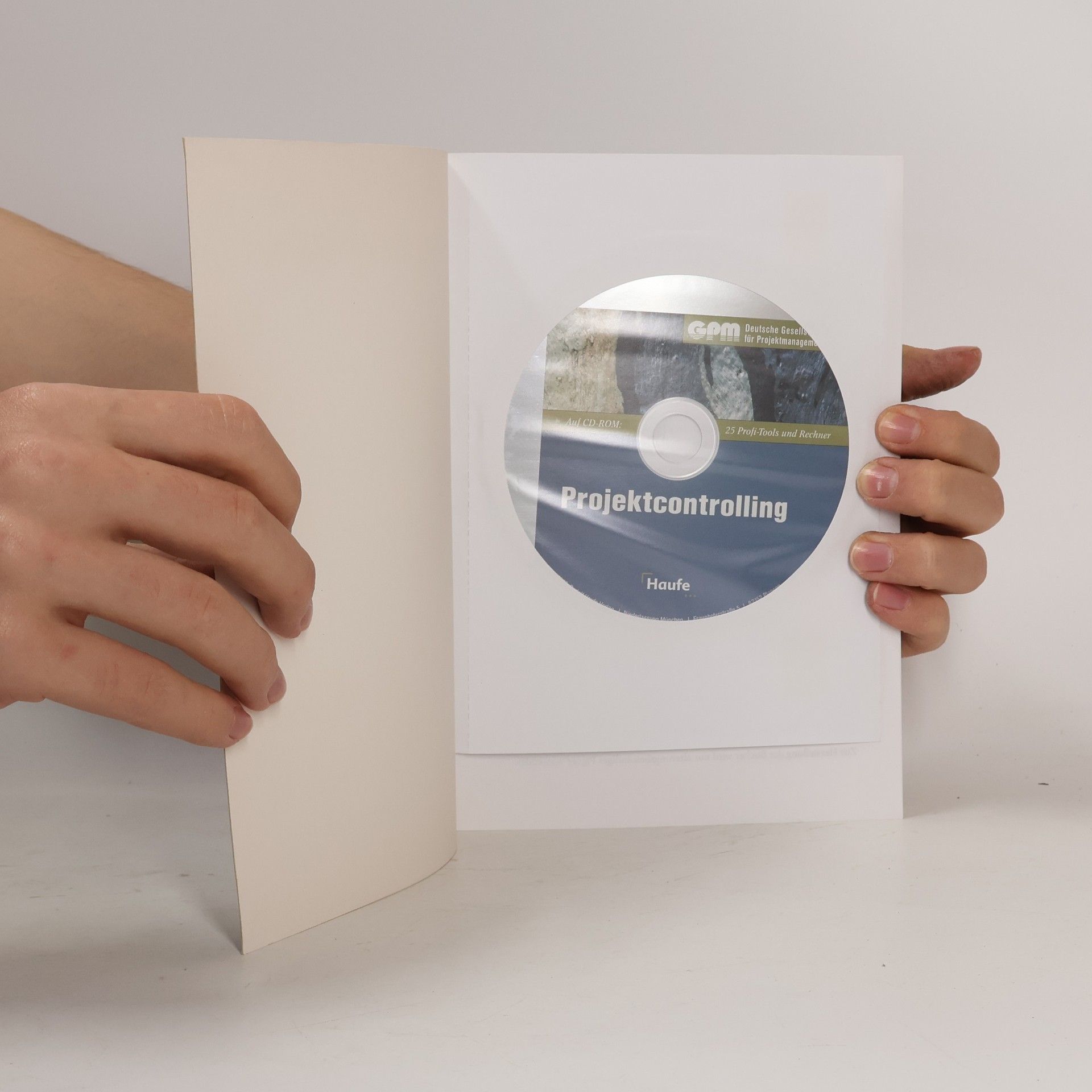 Berta Coromayh Schreckeneder Projektcontrolling