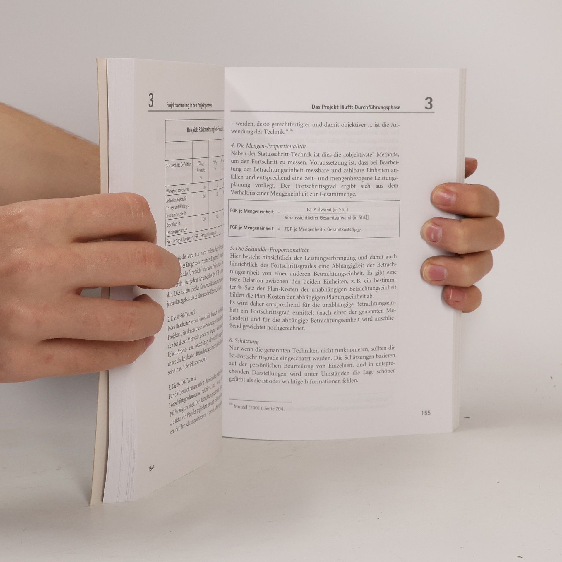 Berta Coromayh Schreckeneder Projektcontrolling