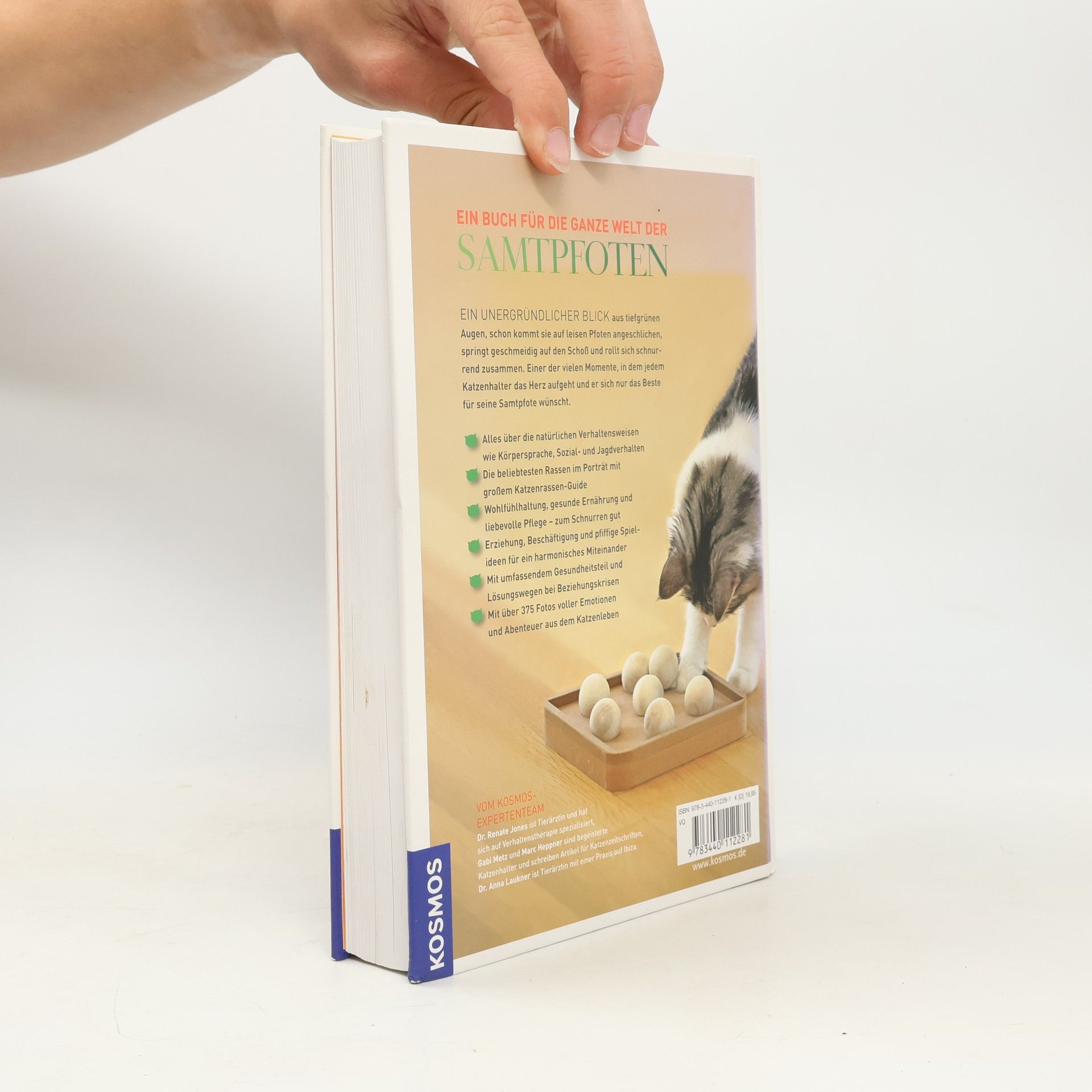 Renate Jones Das Kosmos-Handbuch Katzen