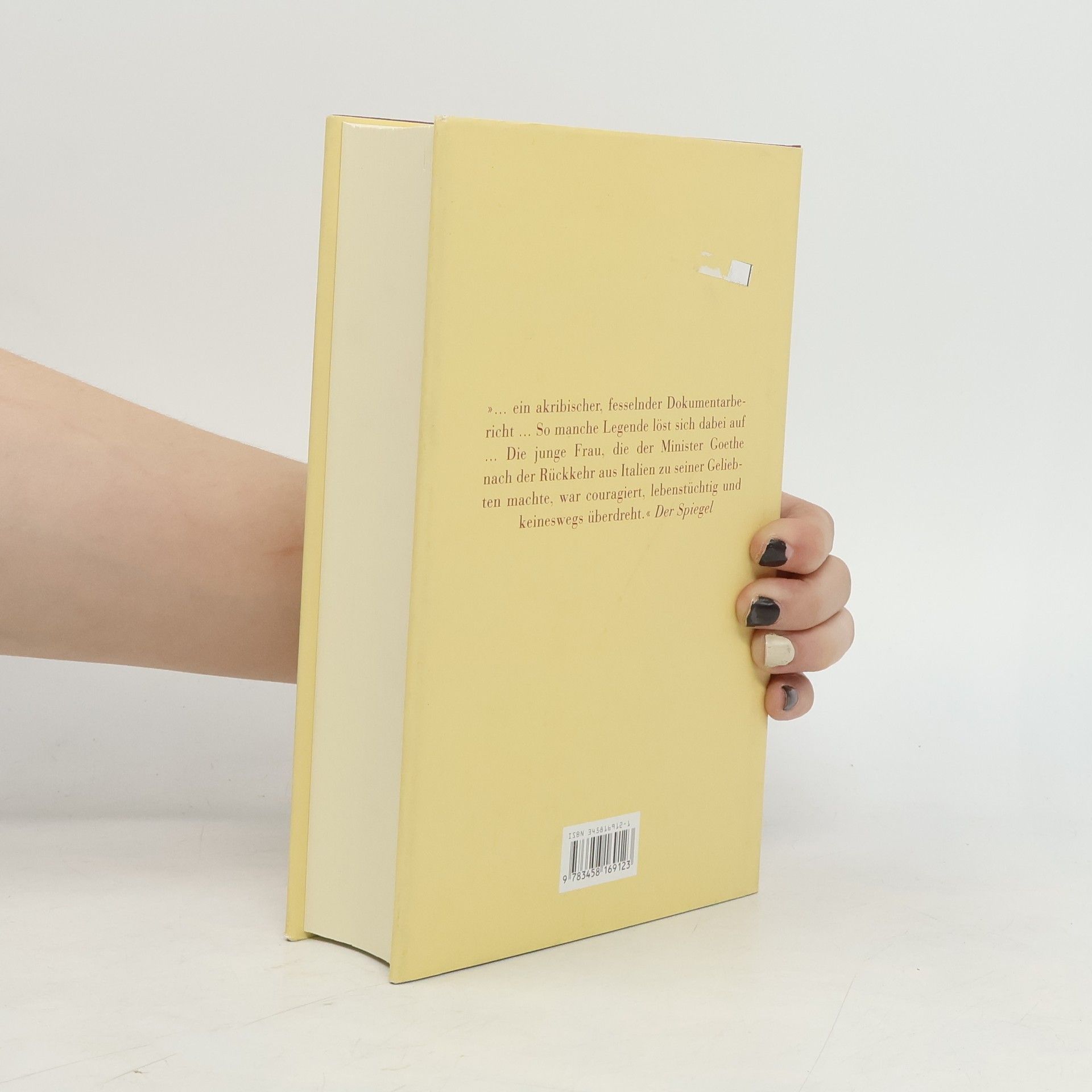 Sigrid Damm Christiane und Goethe