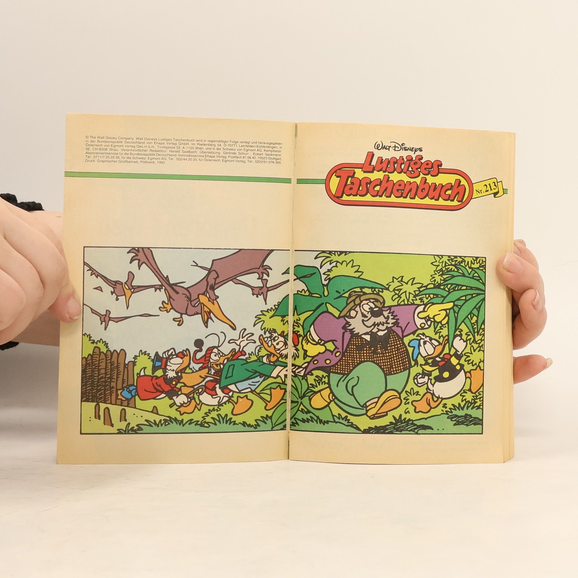 Walt Disney Lustiges Taschenbuch 213