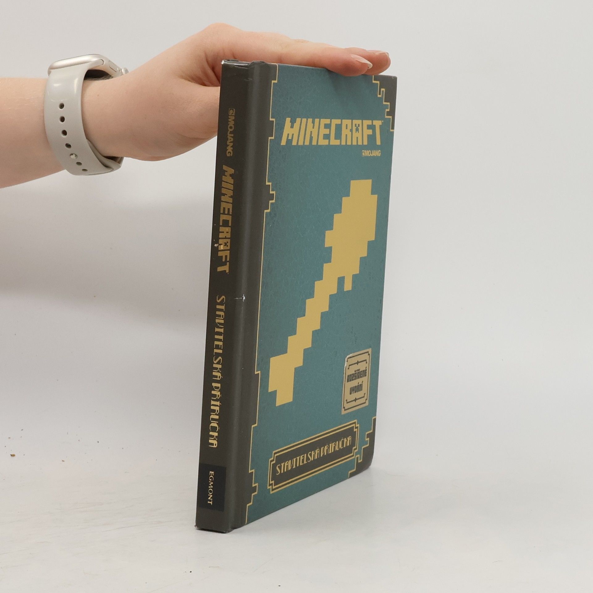 Matyáš Theodor Frydrych Minecraft: Stavitelská příručka