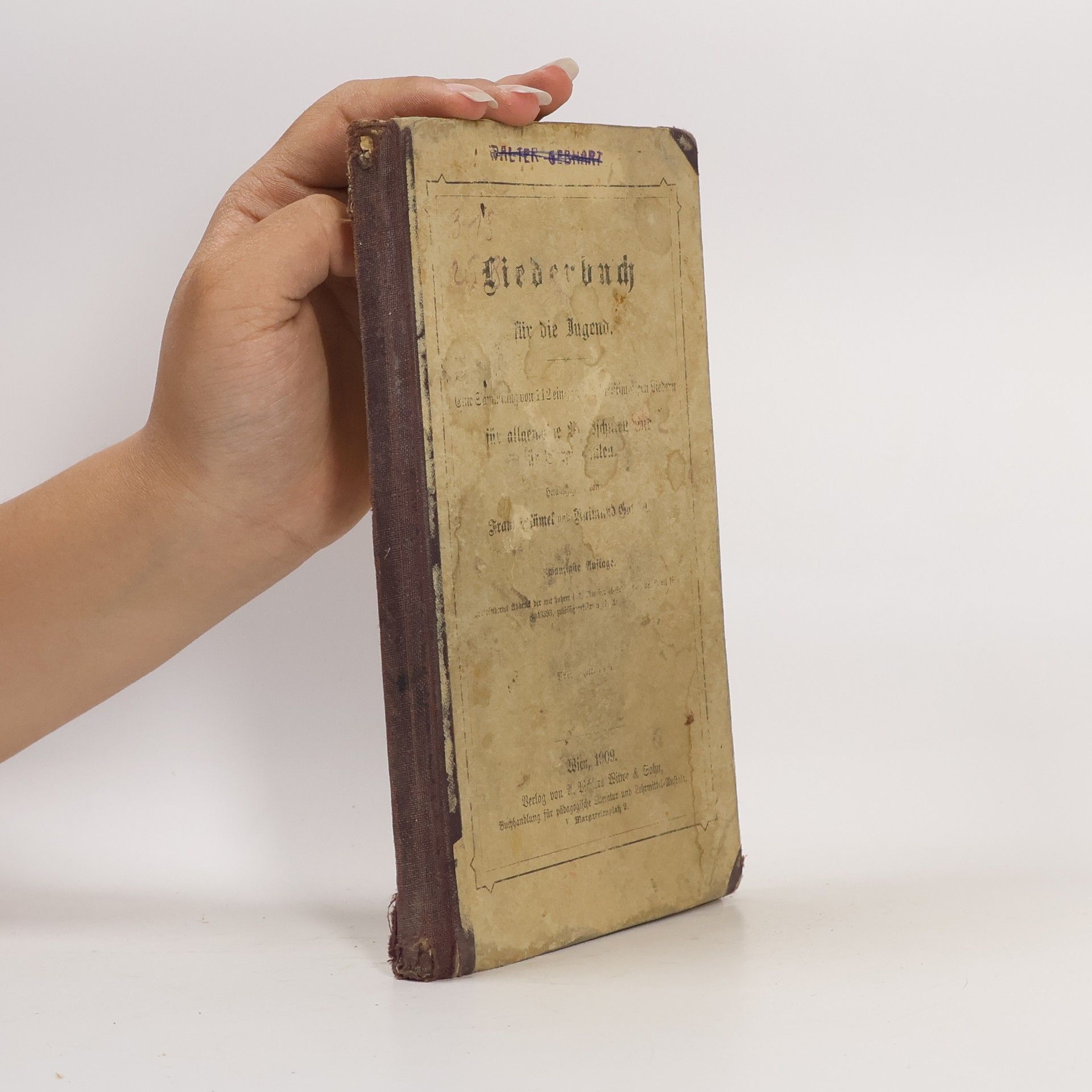 Autores varios Liederbuch für die Jugend
