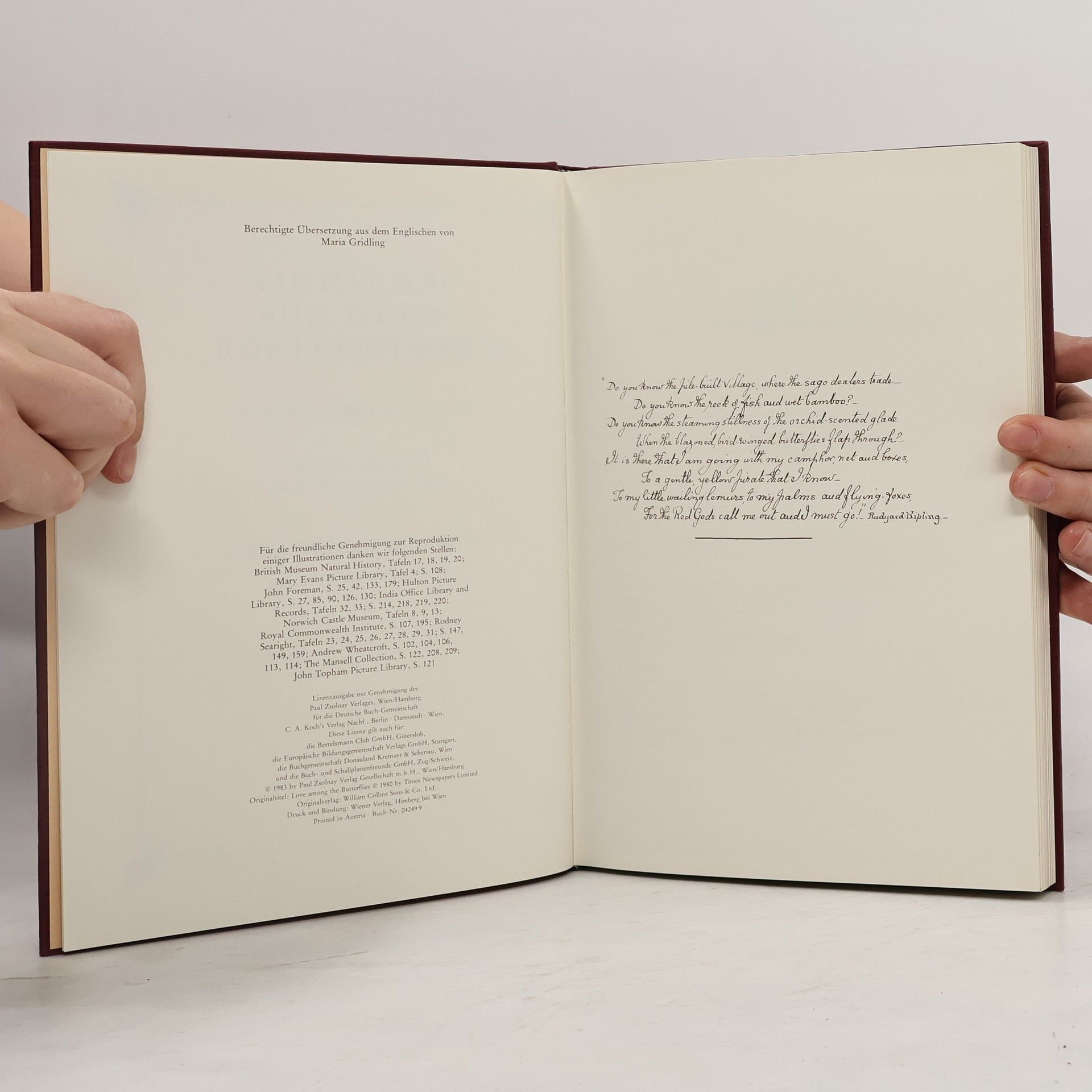 Margaret Fountaine Ich sammle nicht nur Schmetterlinge
