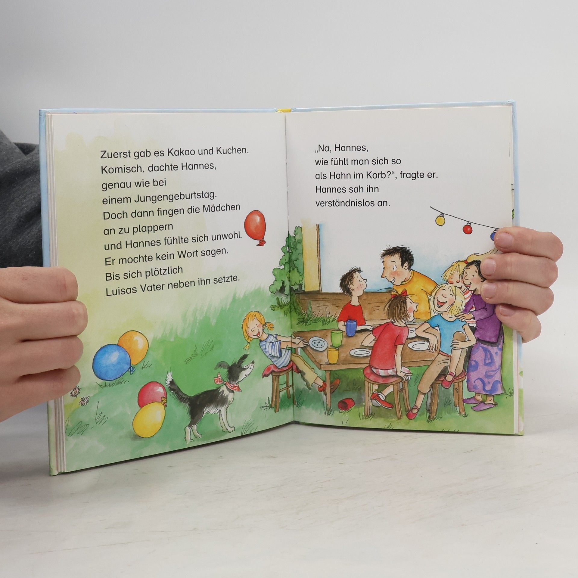 Ulli Schubert Hannes und der Mädchengeburtstag