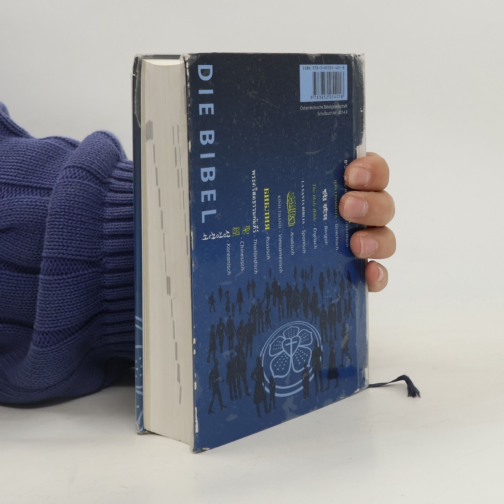 Martin Luther Die Bibel nach der Übersetzung Martin Luthers mit Einführungen und Bildern
