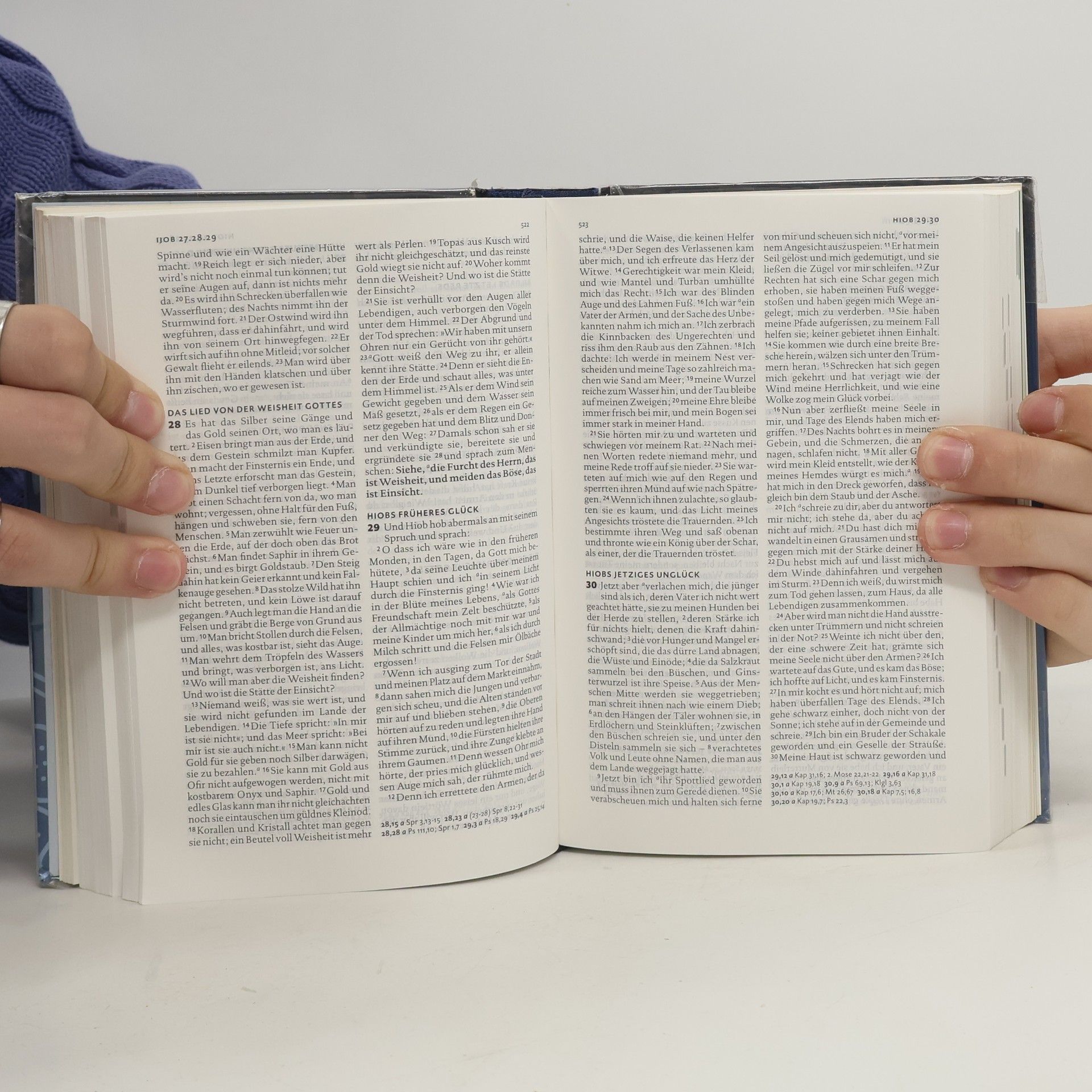 Martin Luther Die Bibel nach der Übersetzung Martin Luthers mit Einführungen und Bildern