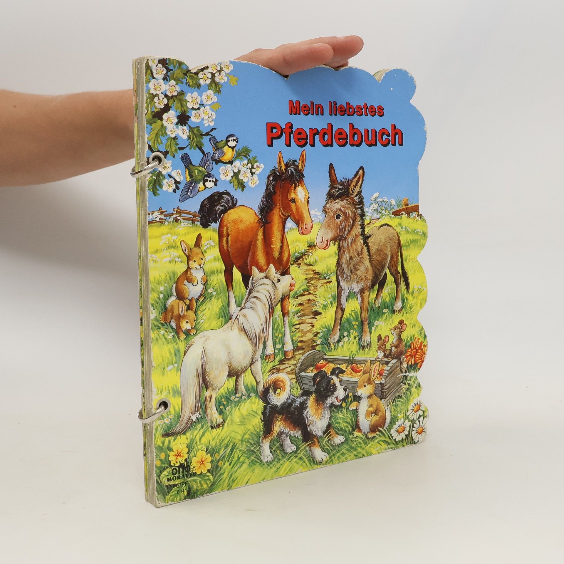 R. Schöler Mein liebstes Pferdebuch