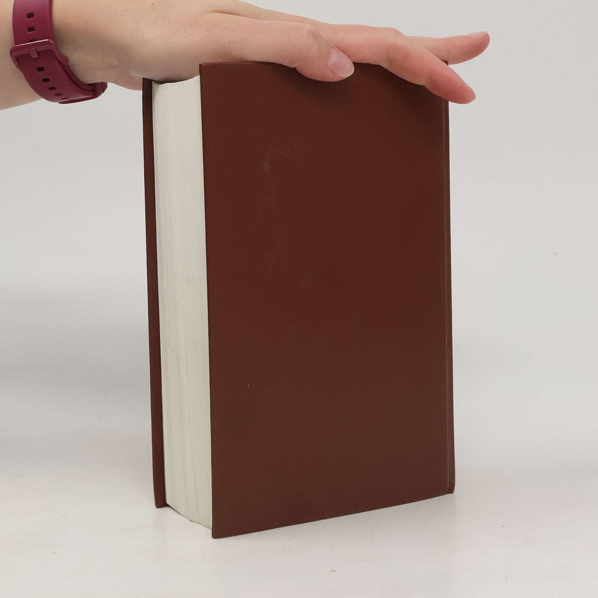 Kolektiv autorů Die Bibel