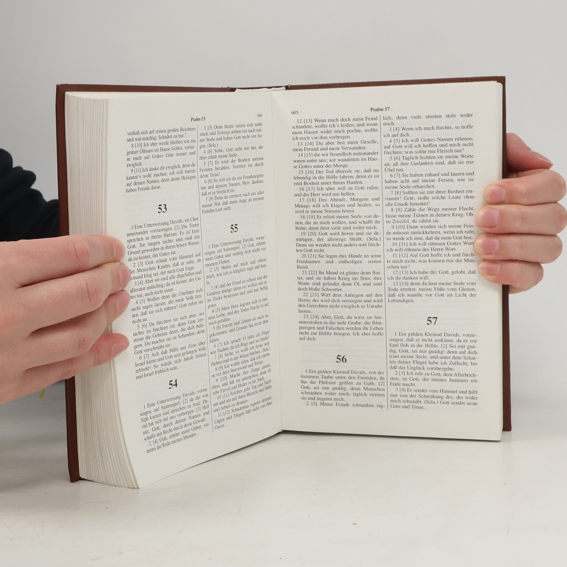 Kolektiv autorů Die Bibel