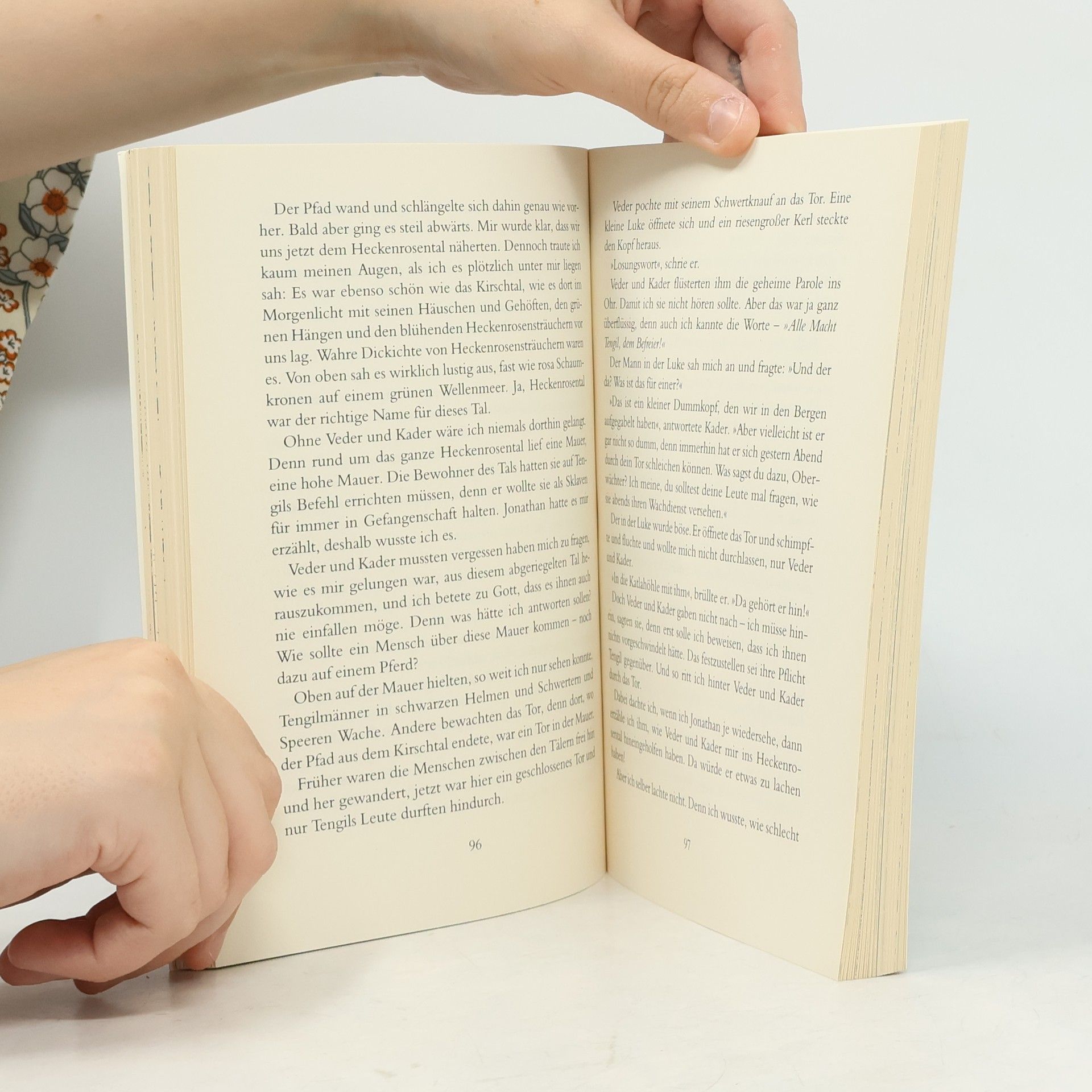 Astrid Lindgren Die Brüder Löwenherz