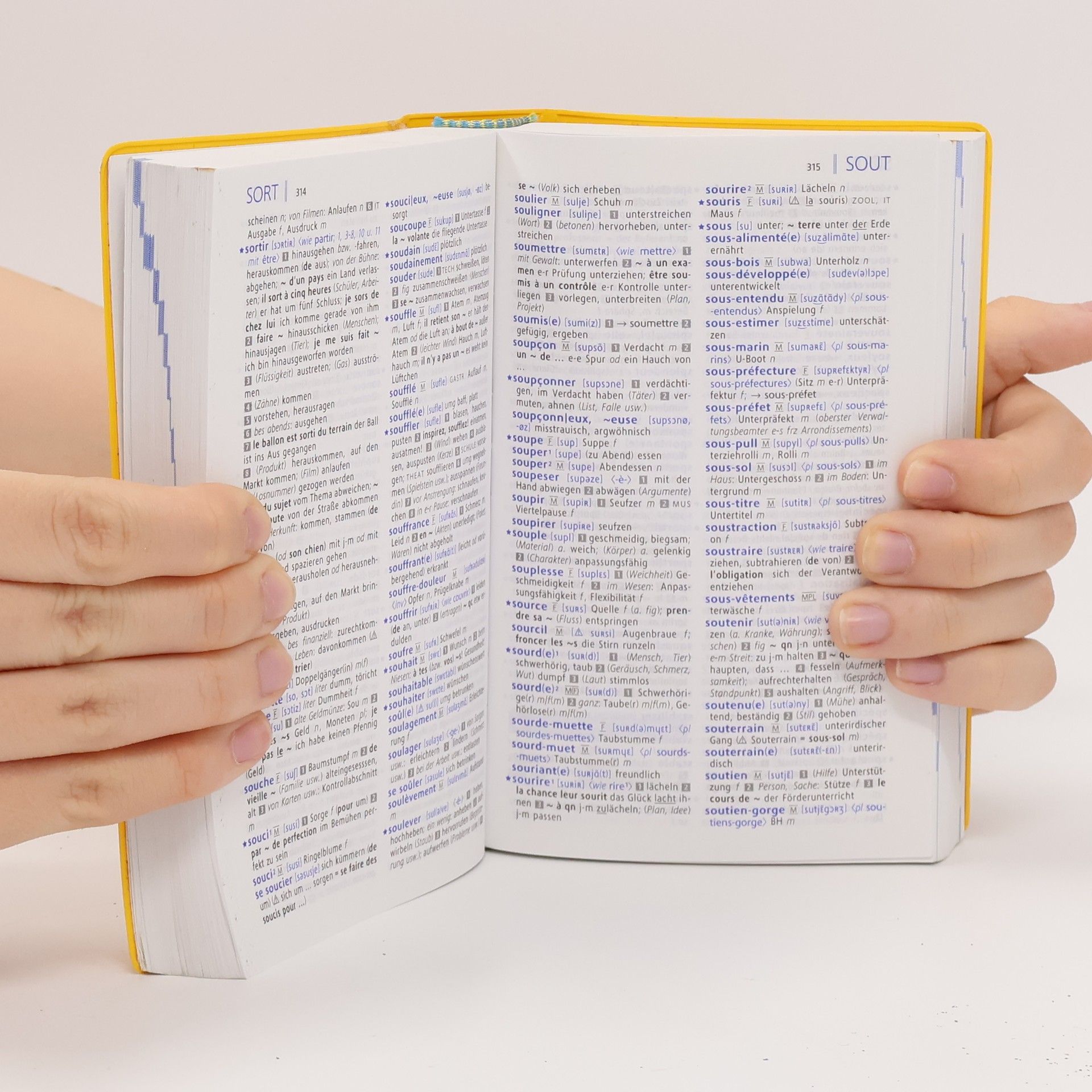 Birgit Klausmann Langenscheidt, Schulwörterbuch Französisch