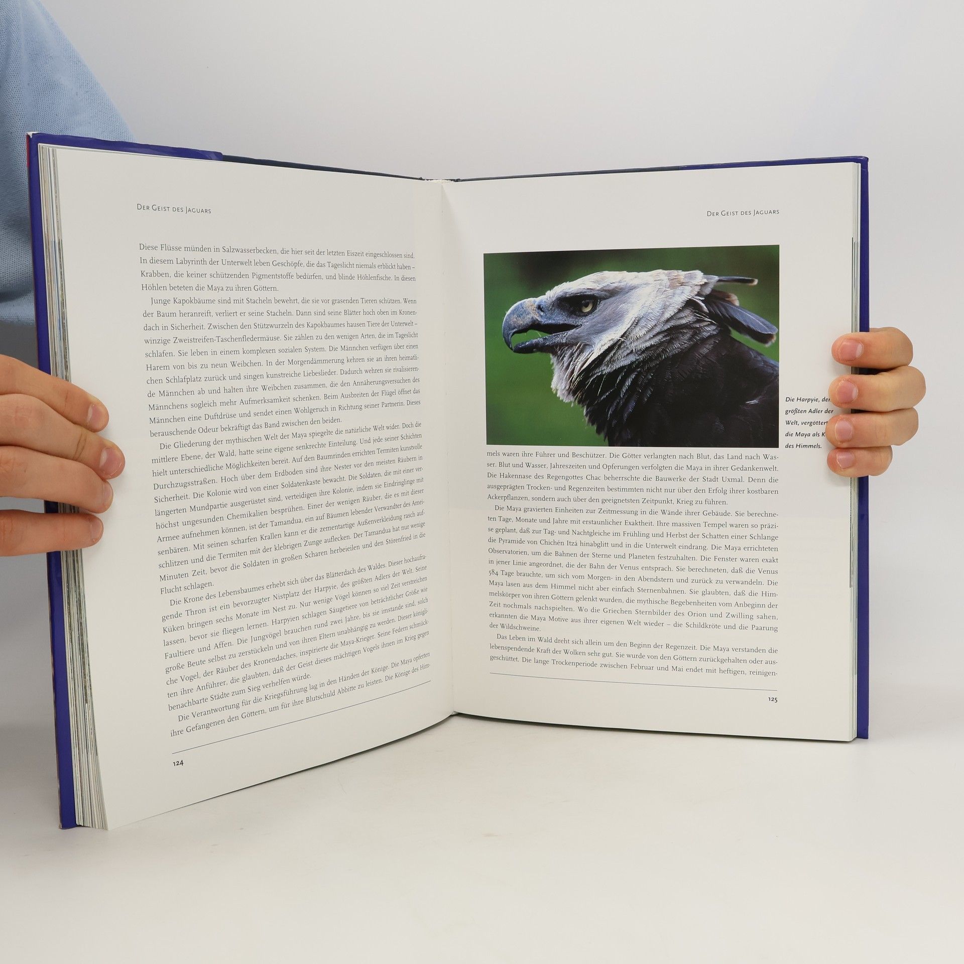 Various authors Jahrbuch 1997