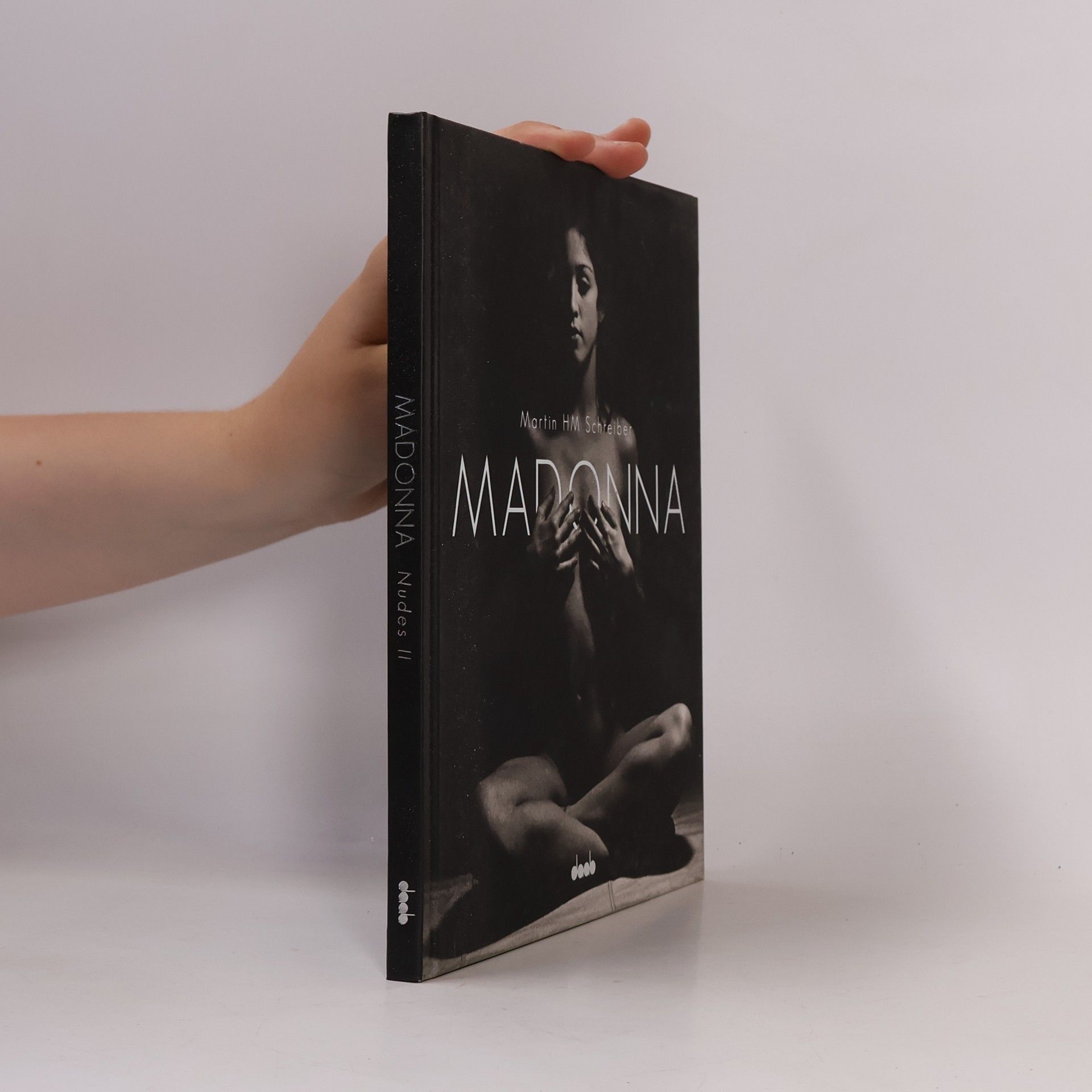 Martin H. Schreiber Madonna 2