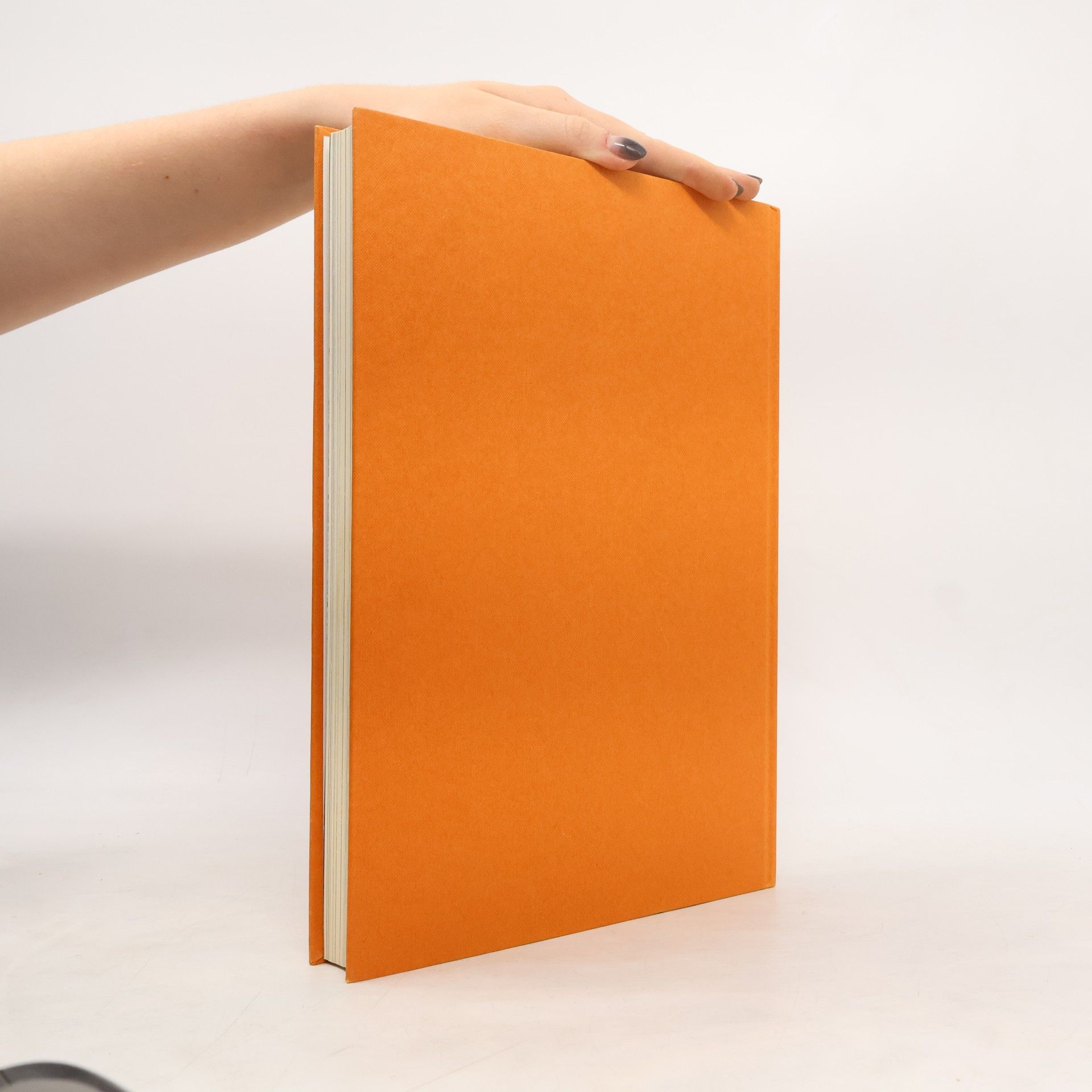 Herbert Pothorn Das große Buch der Baustile