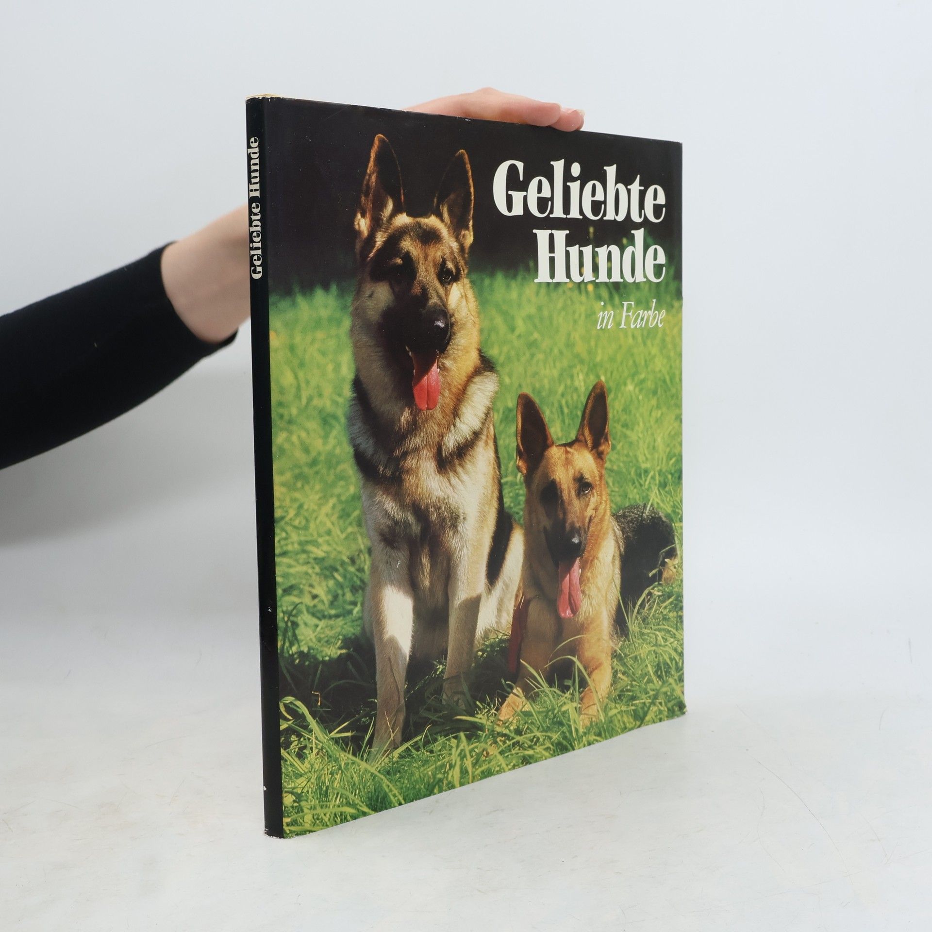 Autorenkollektiv Geliebte Hunde in Farbe