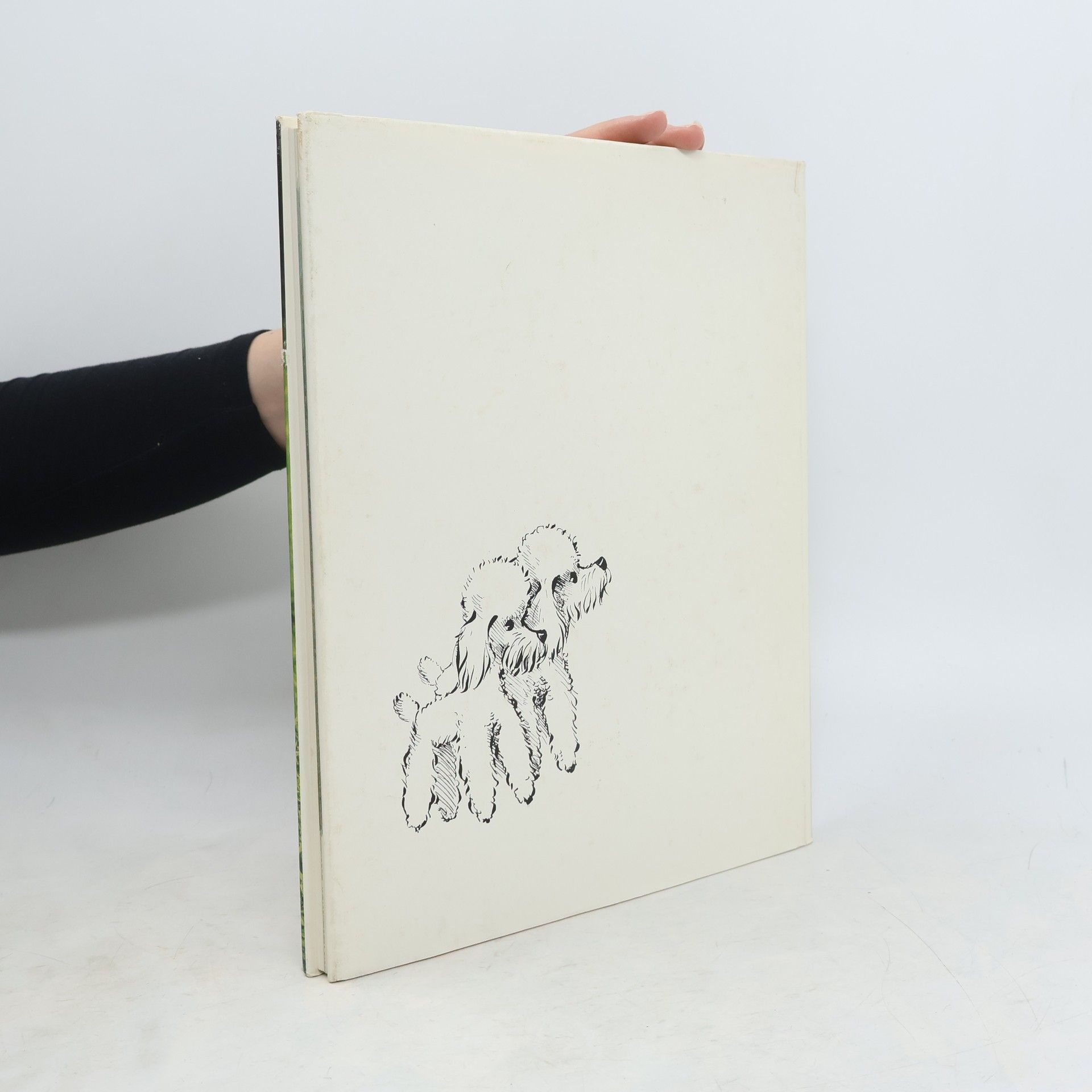 Autorenkollektiv Geliebte Hunde in Farbe