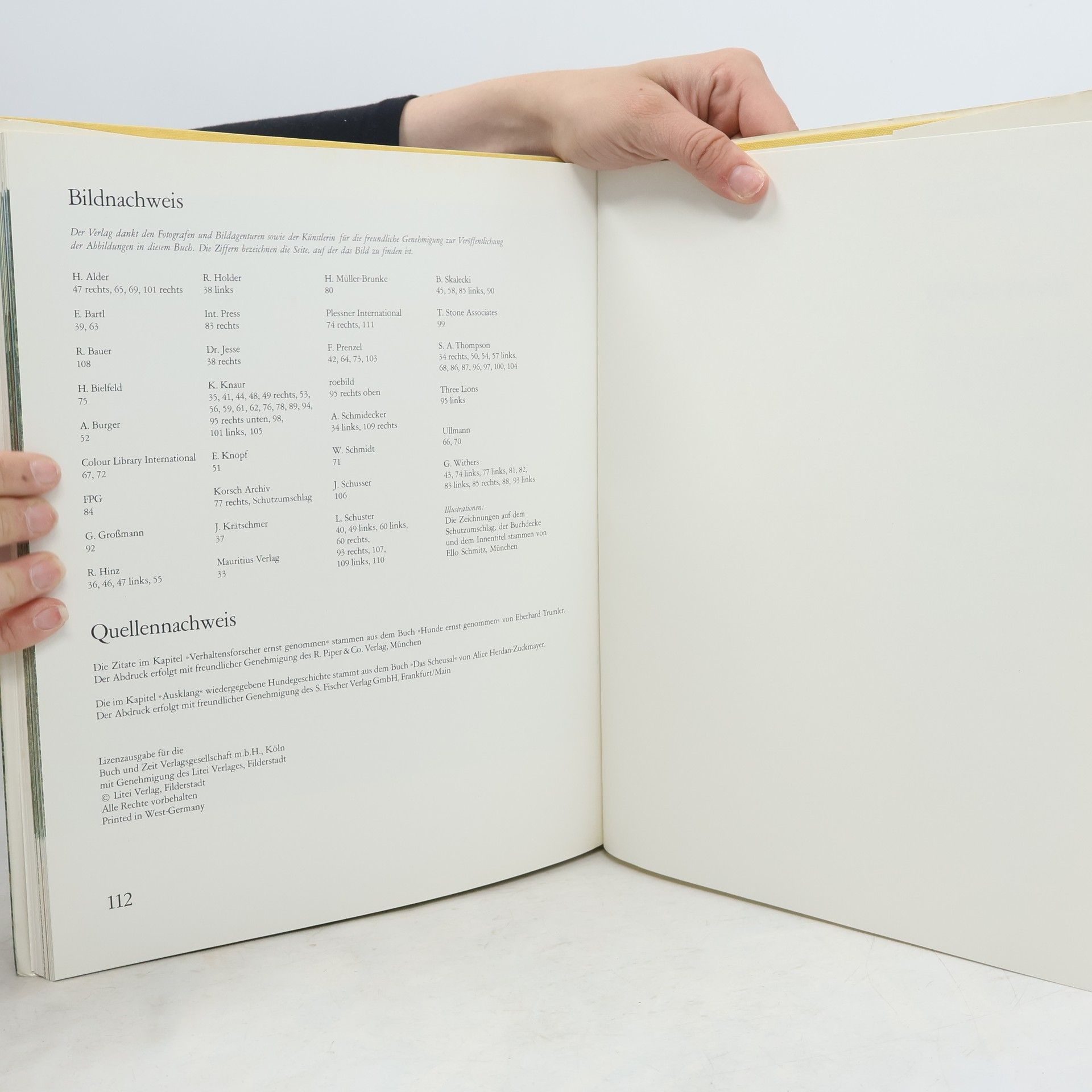 Autorenkollektiv Geliebte Hunde in Farbe