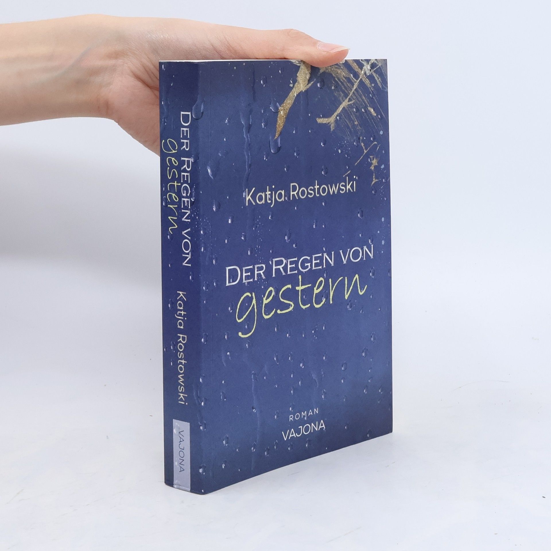 Katja Rostowski Der Regen von gestern