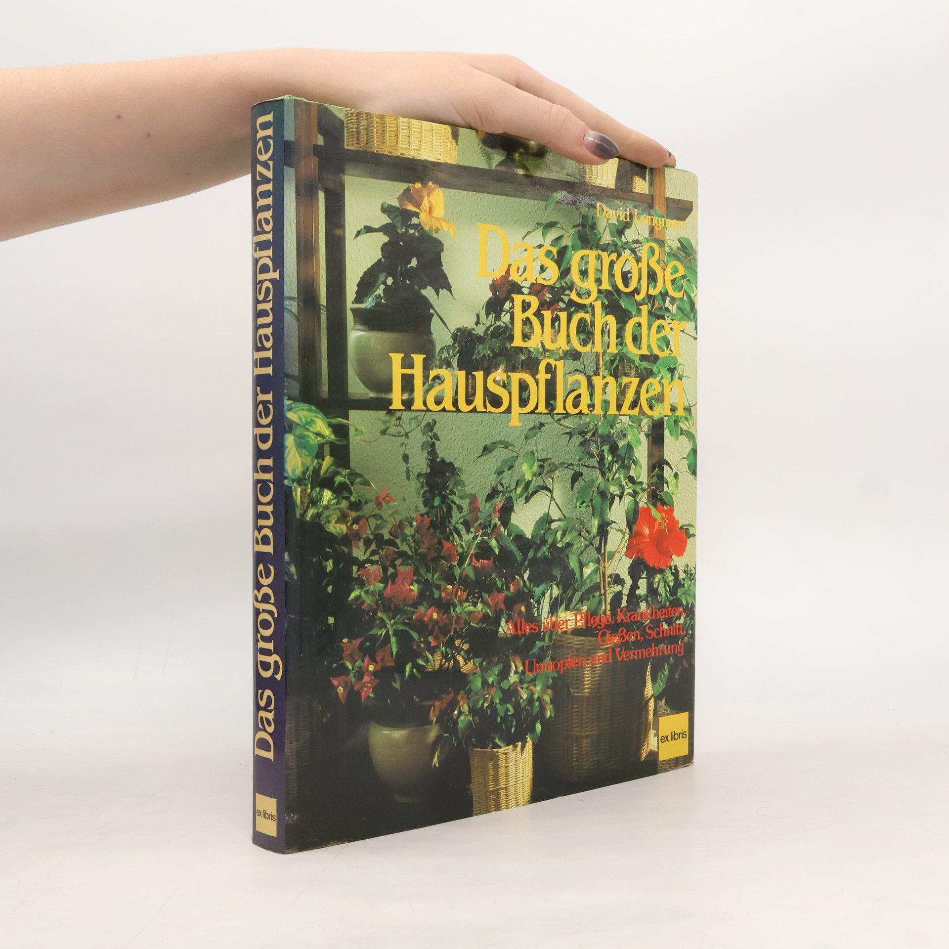 Kolektív autorov Das große Buch der Hauspflanzen