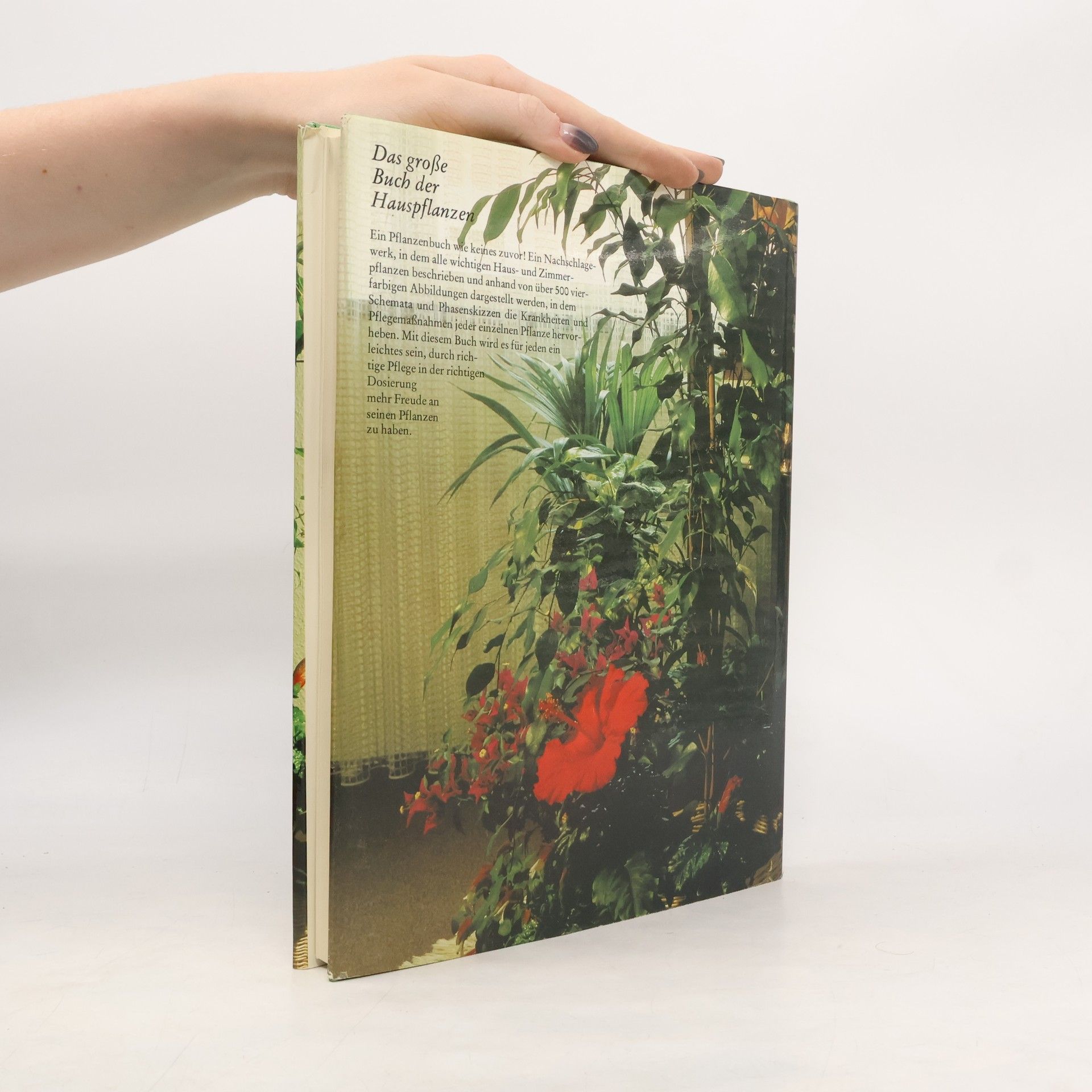 Kolektív autorov Das große Buch der Hauspflanzen