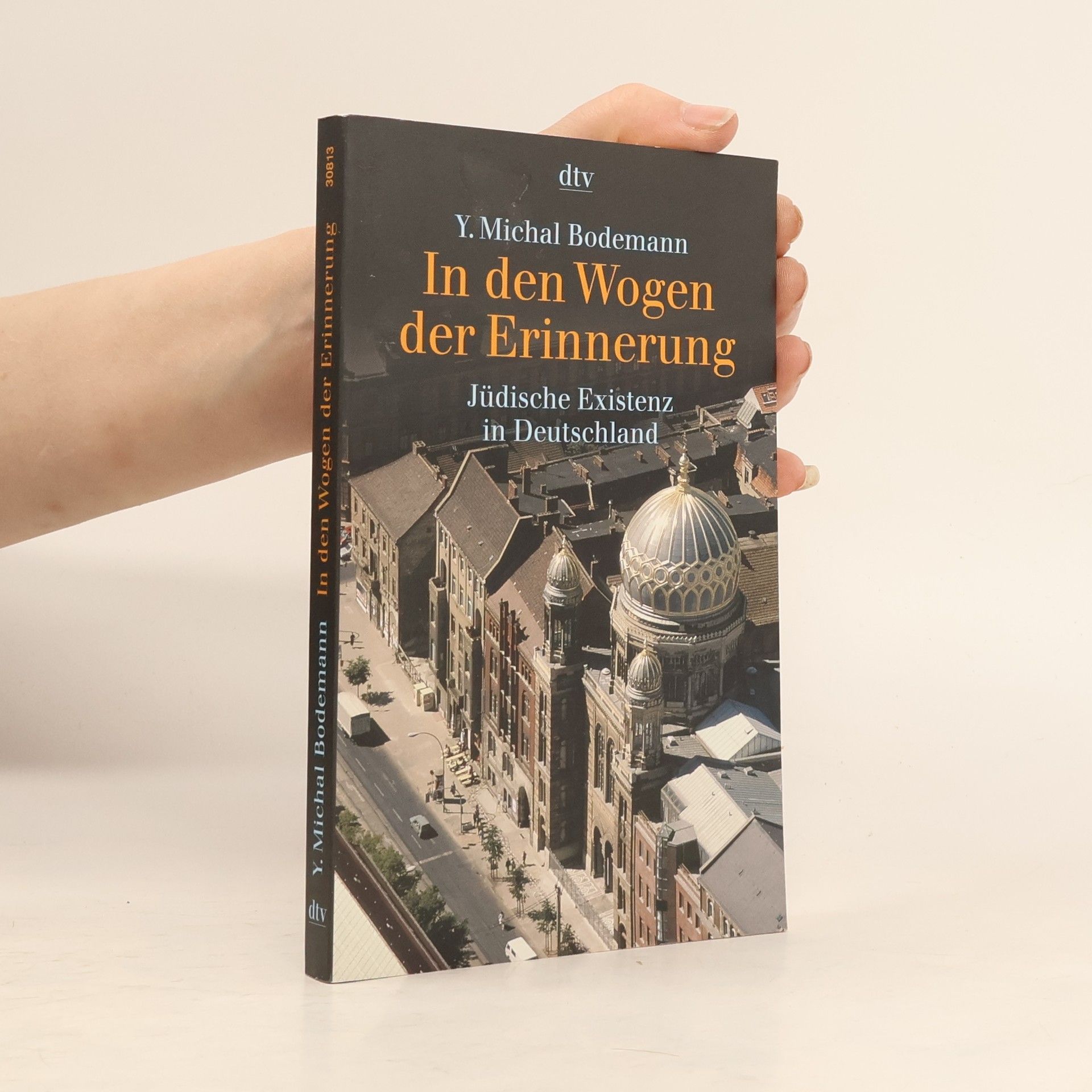 Y. Michal Bodemann In den Wogen der Erinnerung