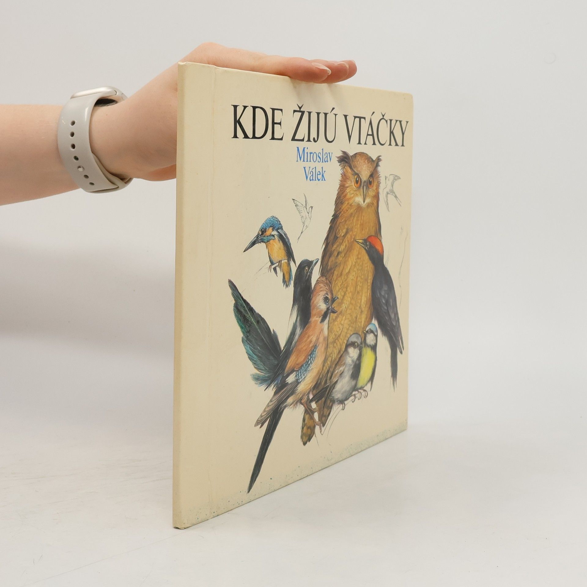 Miroslav Válek Kde žijú vtáčky