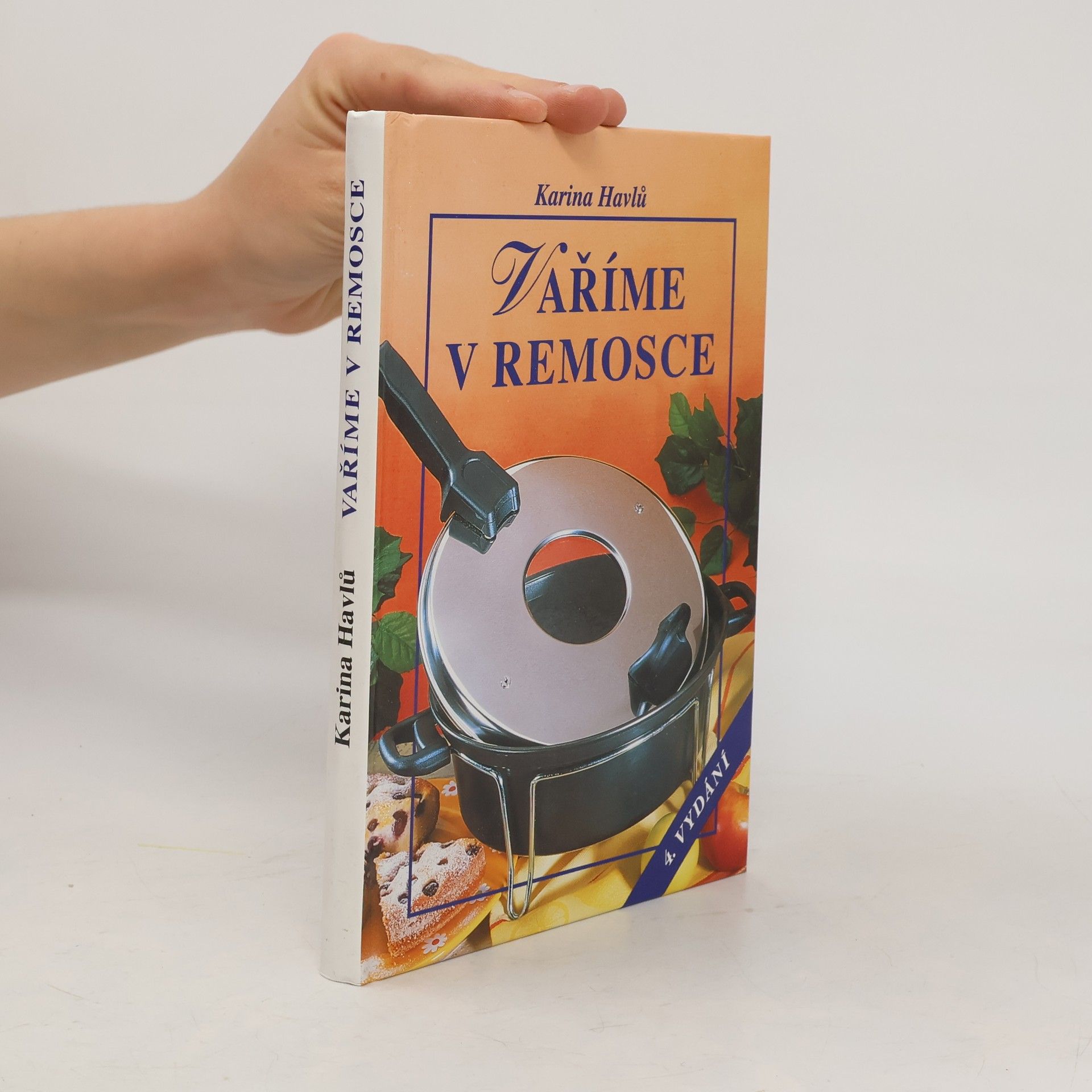 Karina Havlů Vaříme v remosce