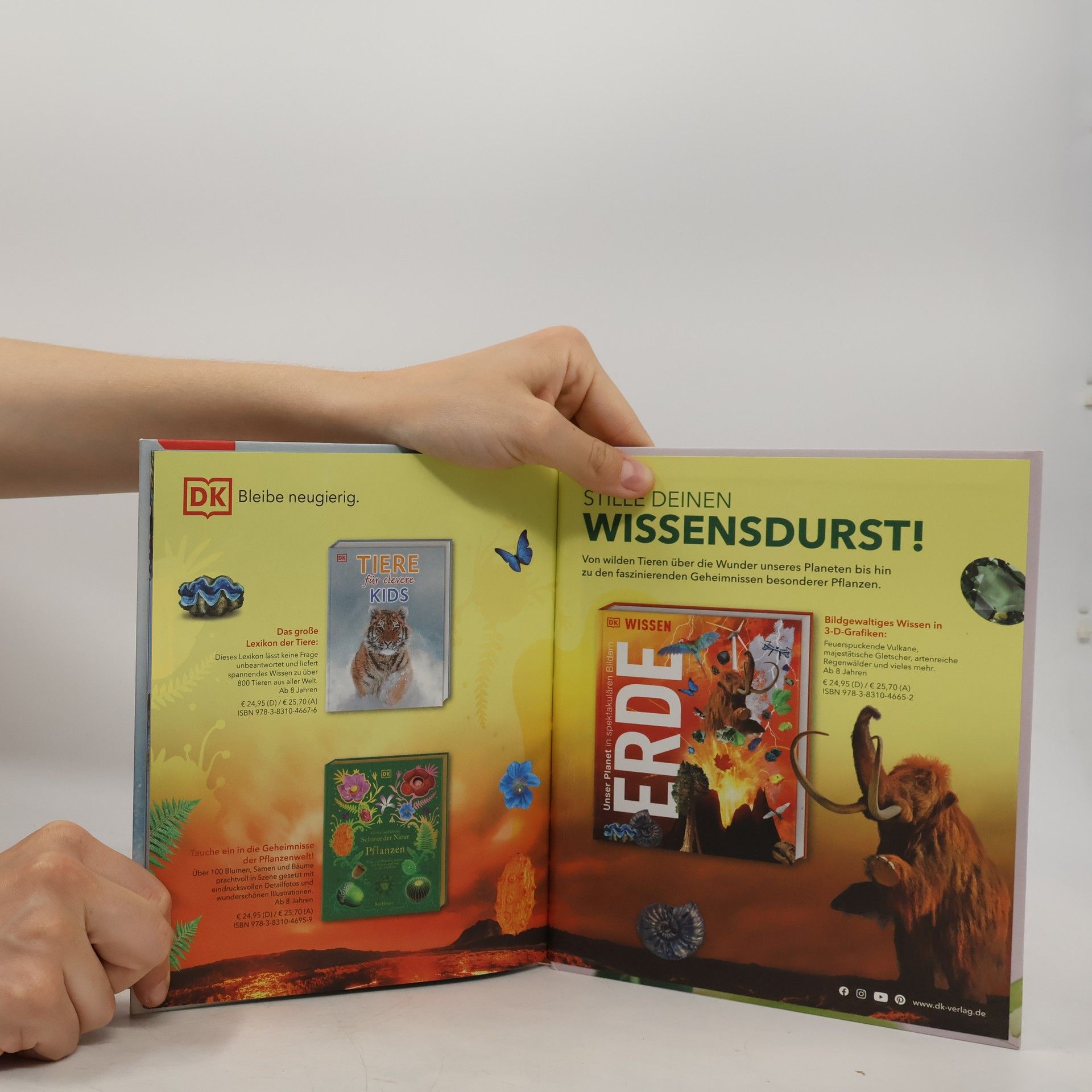 Ben Hoare Große und kleine Schätze der Natur. Pflanzen