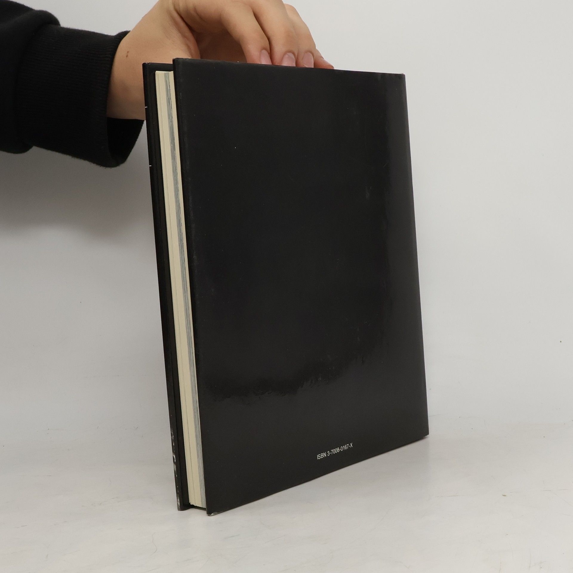 Rupert Feuchtmüller Schöngrabern, die steinerne Bibel