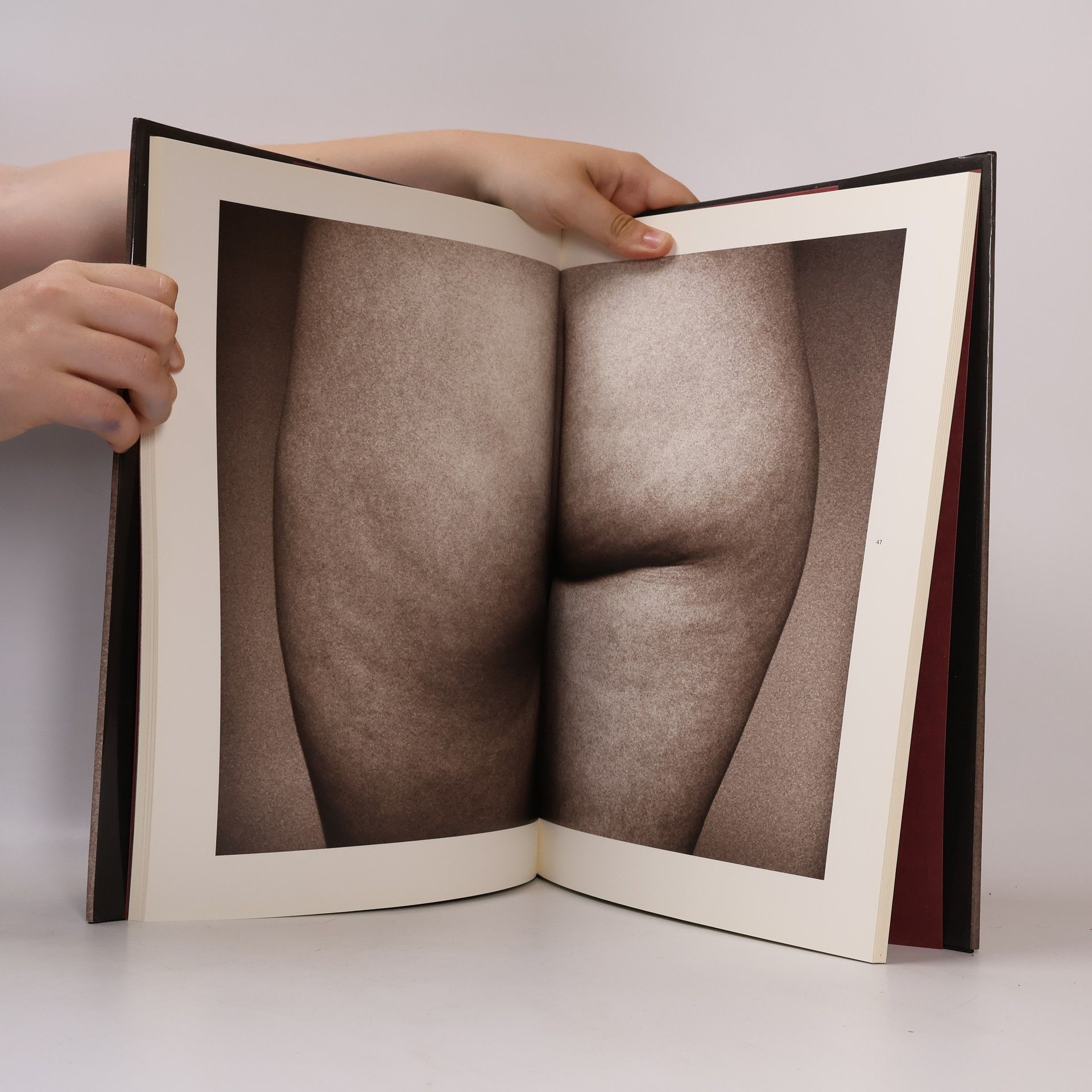 Henry Horenstein Humans
