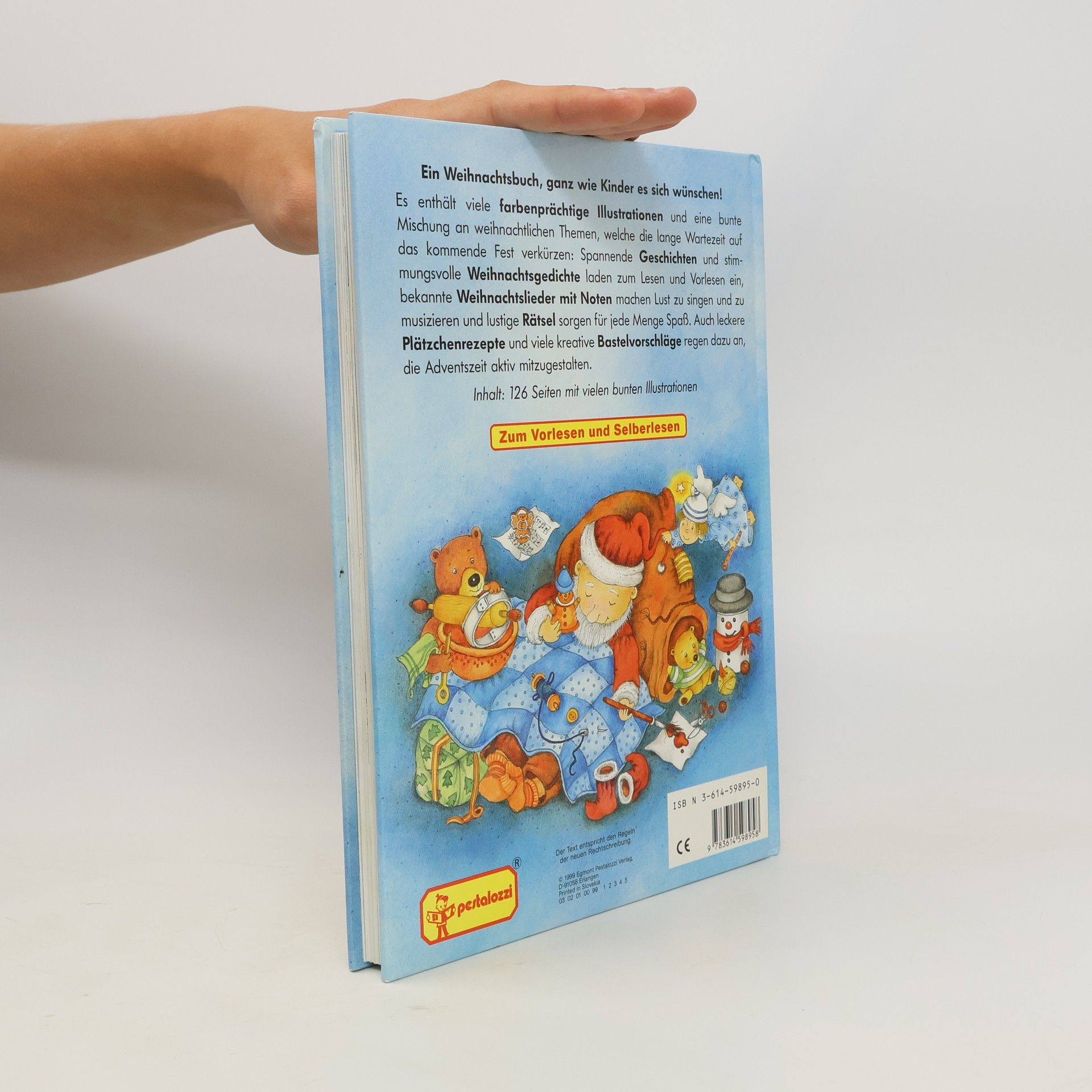 Auteurscollectief Mein schönstes Weihnachtsbuch.