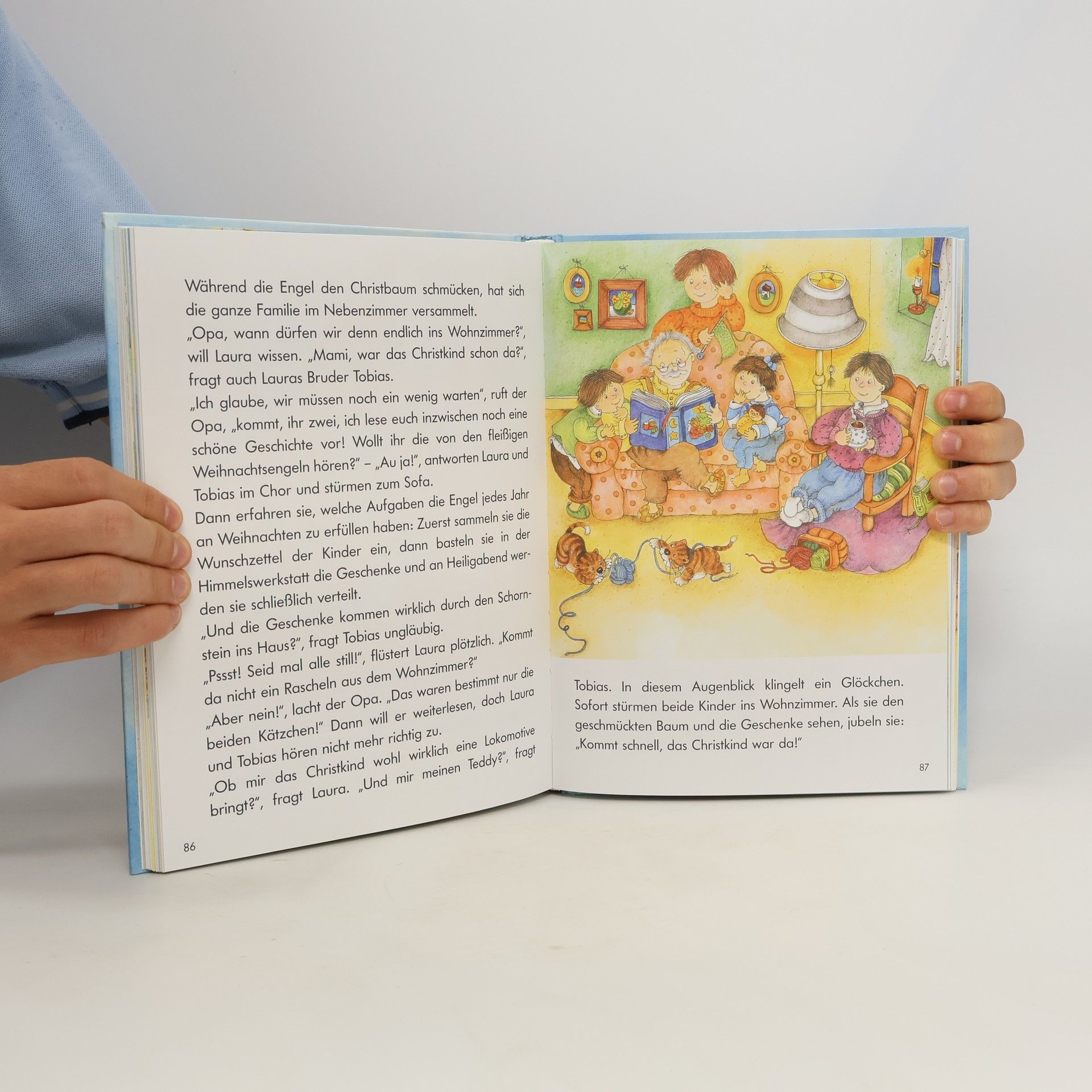 Auteurscollectief Mein schönstes Weihnachtsbuch.