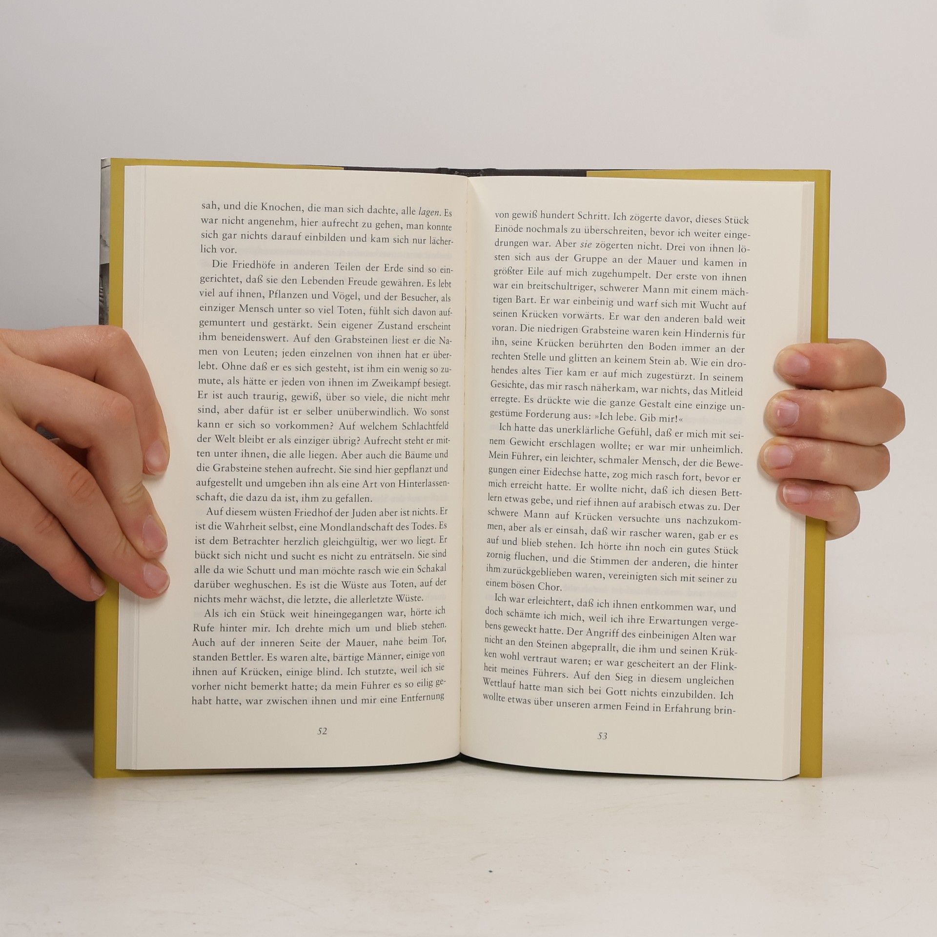 Elias Canetti Die Stimmen von Marrakesch
