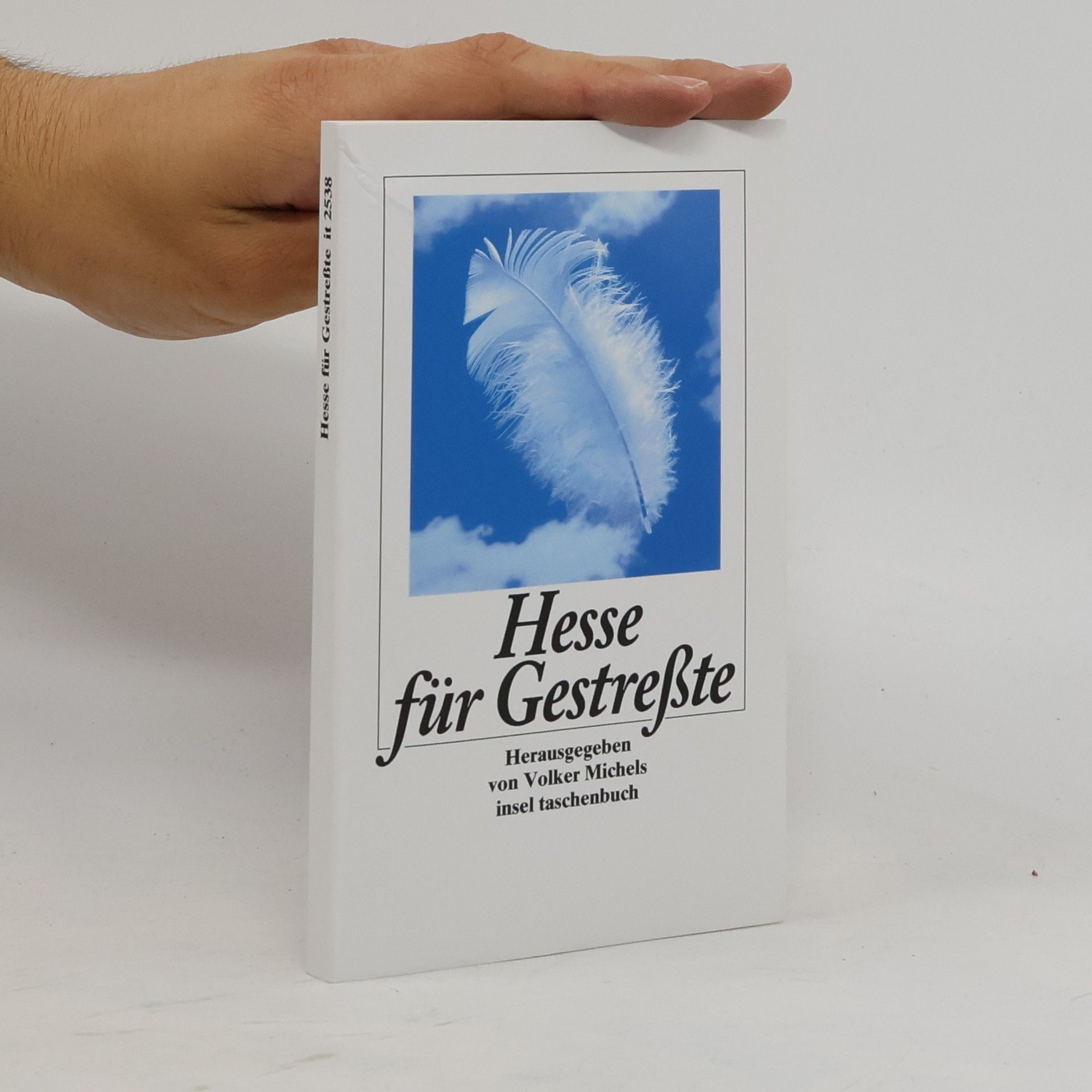 Hermann Hesse Hesse für Gestreßte