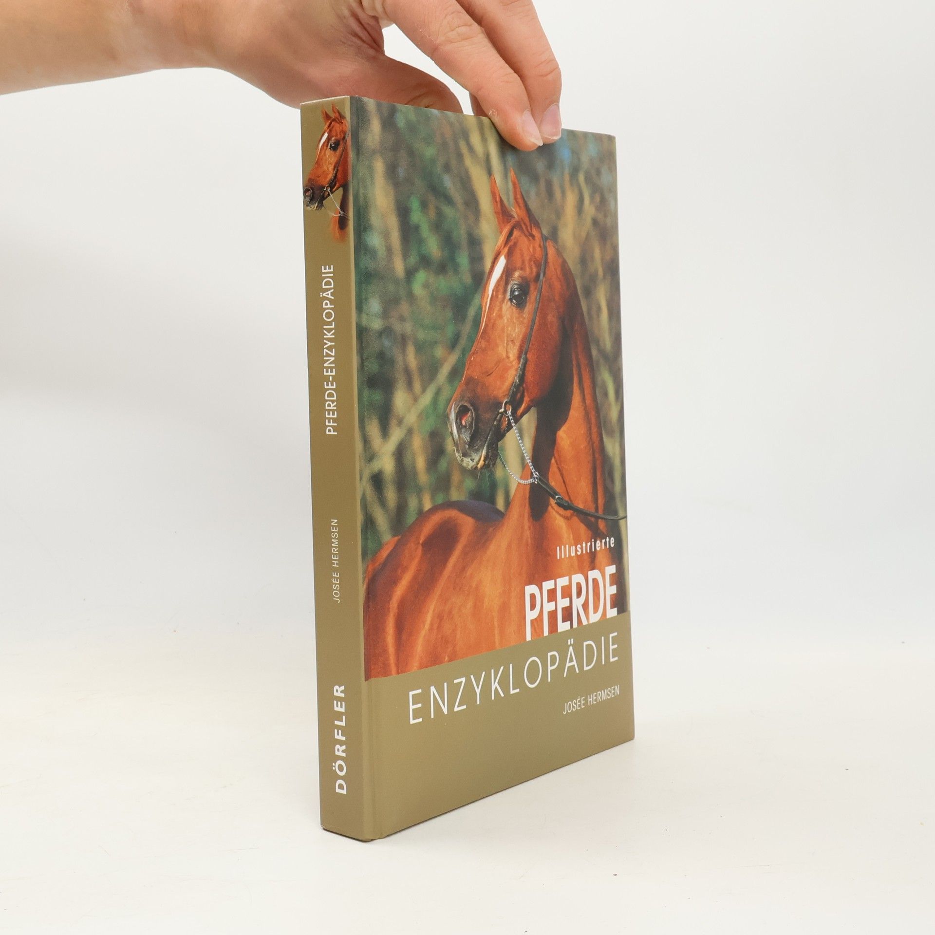 Josée Hermsen Illustrierte Pferde-Enzyklopädie