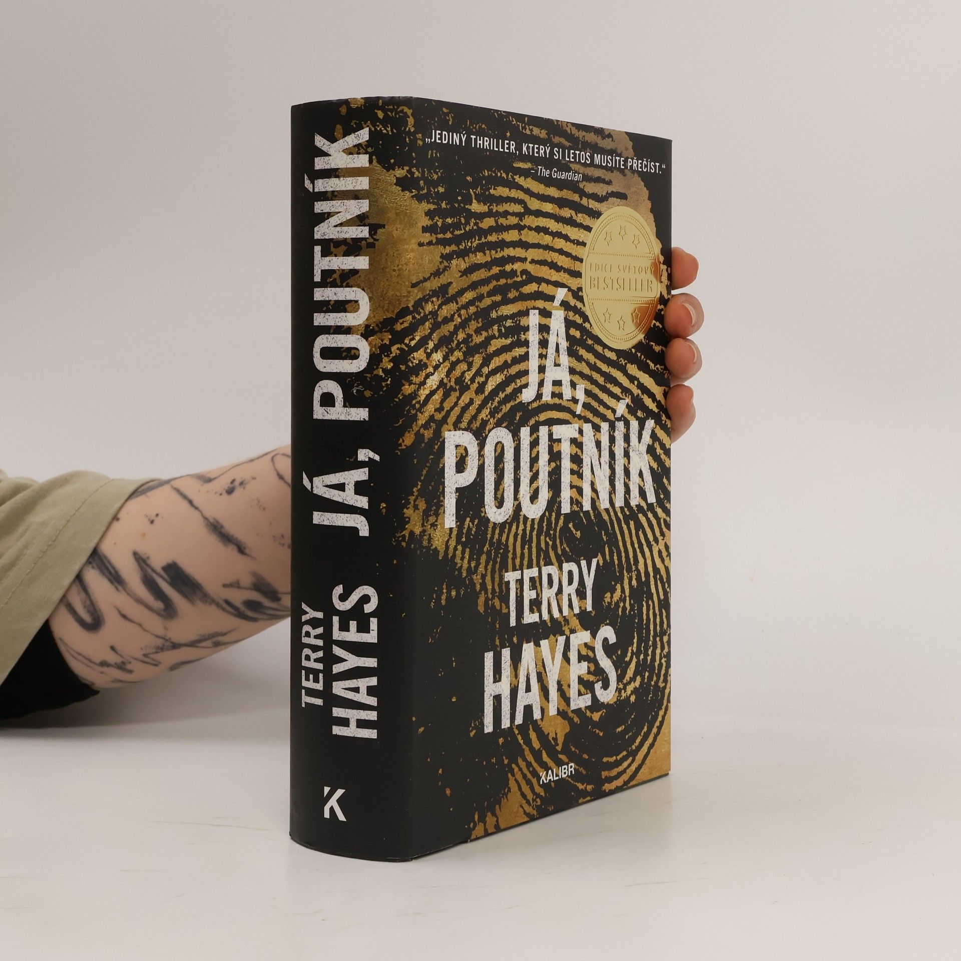 Terry Hayes Já, Poutník