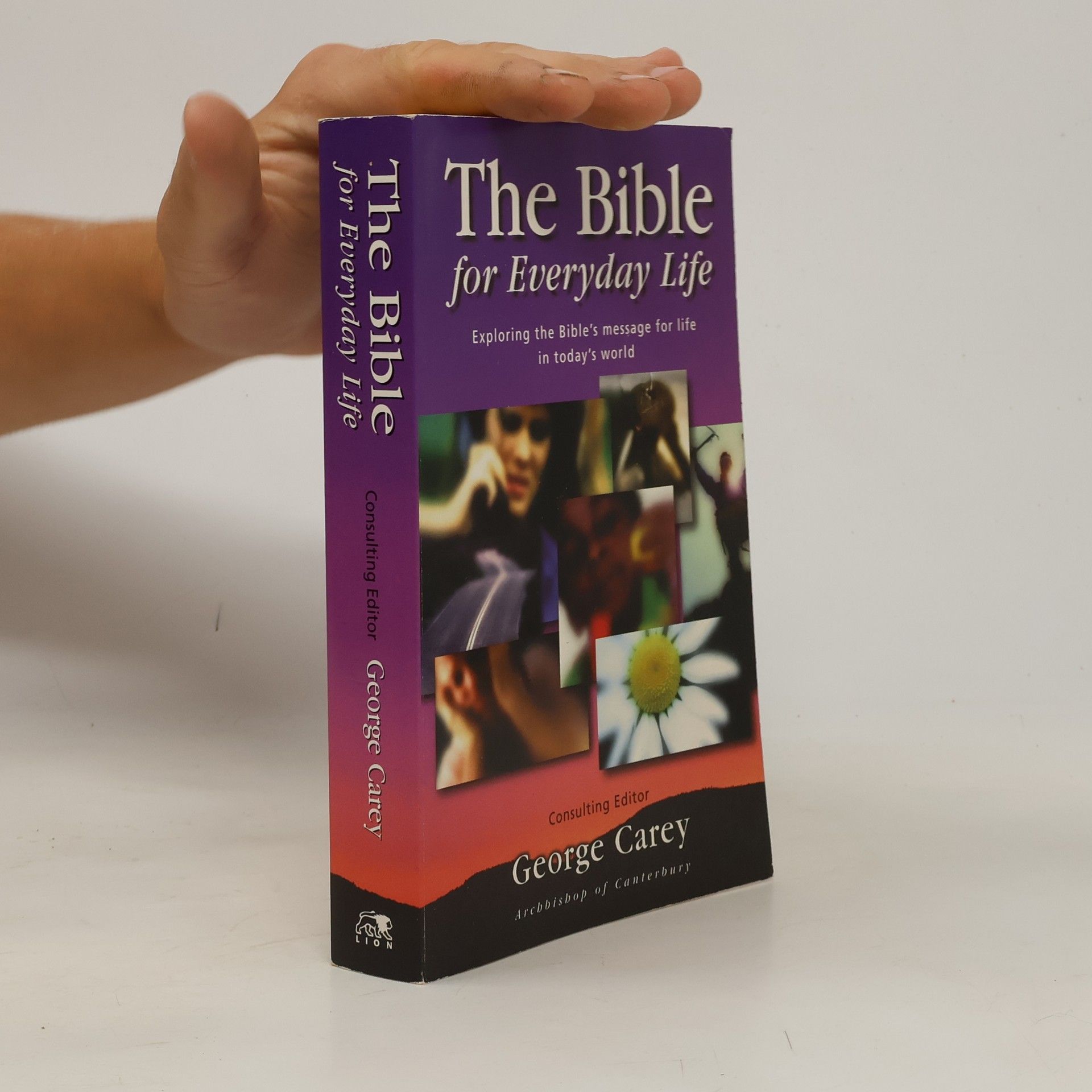 Daniel Berkovic The Bible for Everyday Life
