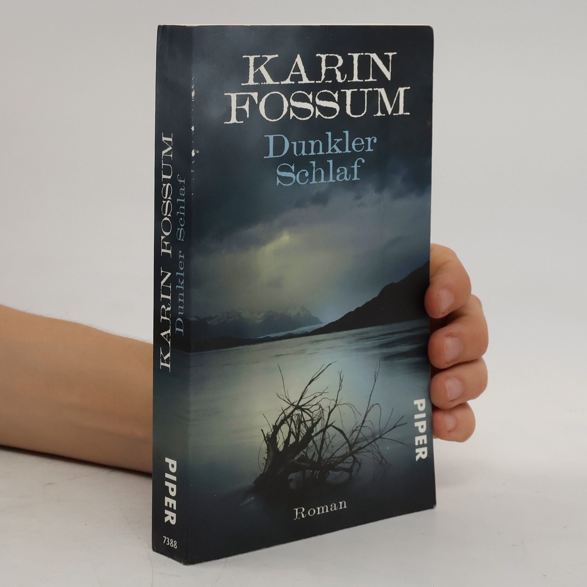 Karin Fossum Dunkler Schlaf