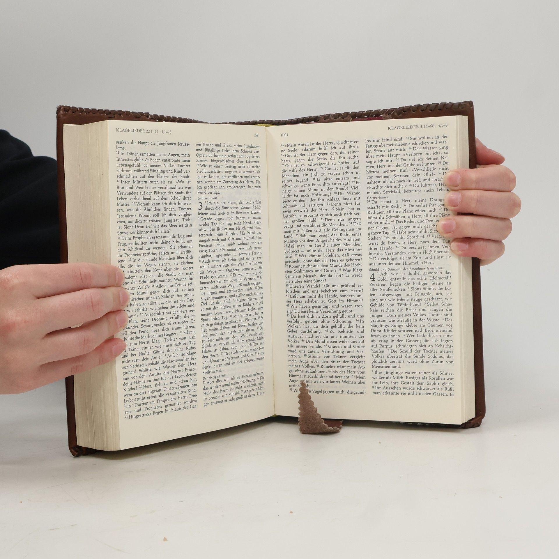 Vinzenz Hamp Die ganze heilige schrift des Alten und Neuen Testamentes