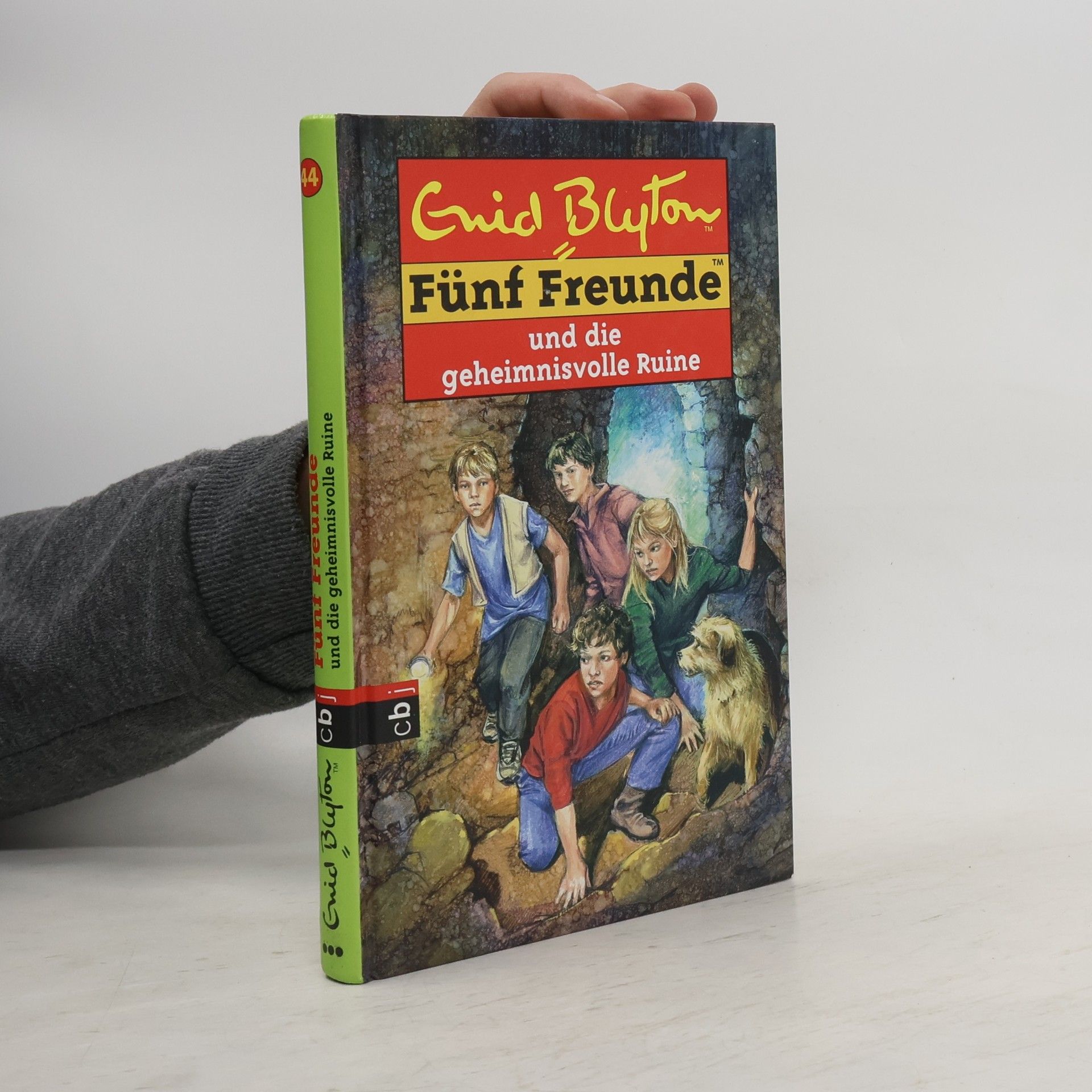 Sarah Bosse Fünf Freunde und die geheimnisvolle Ruine