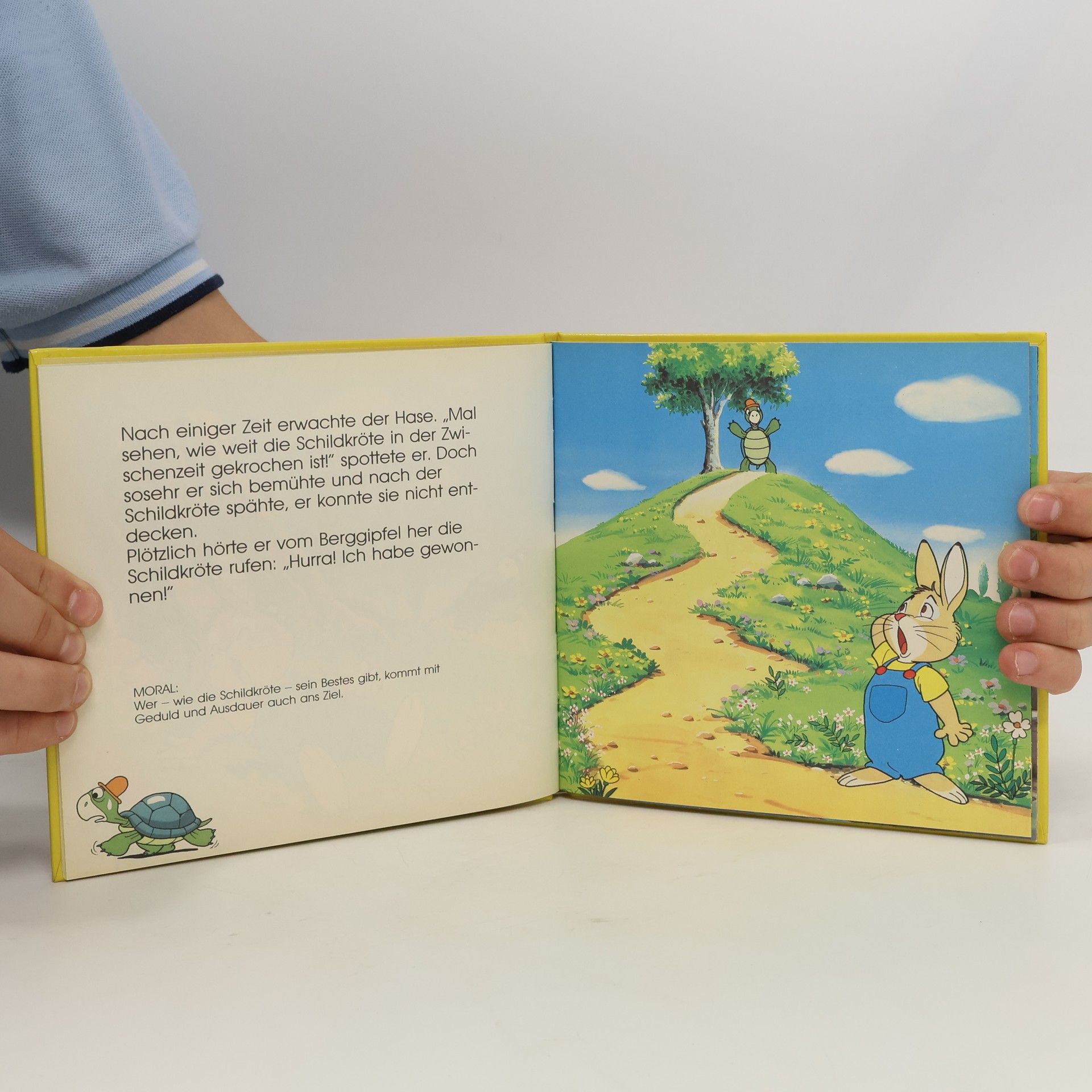 Autores varios Das Kaninchen und die Schildkröte