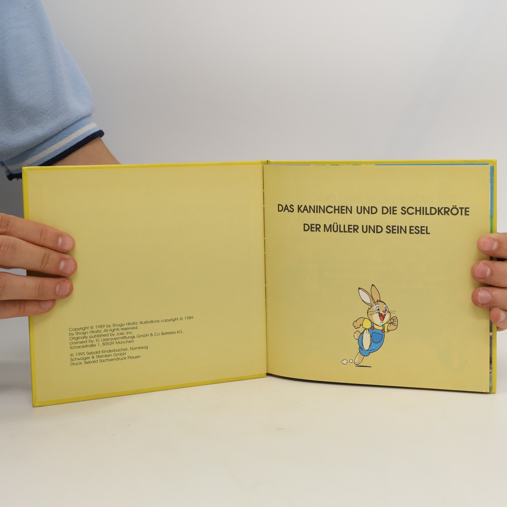 Autores varios Das Kaninchen und die Schildkröte